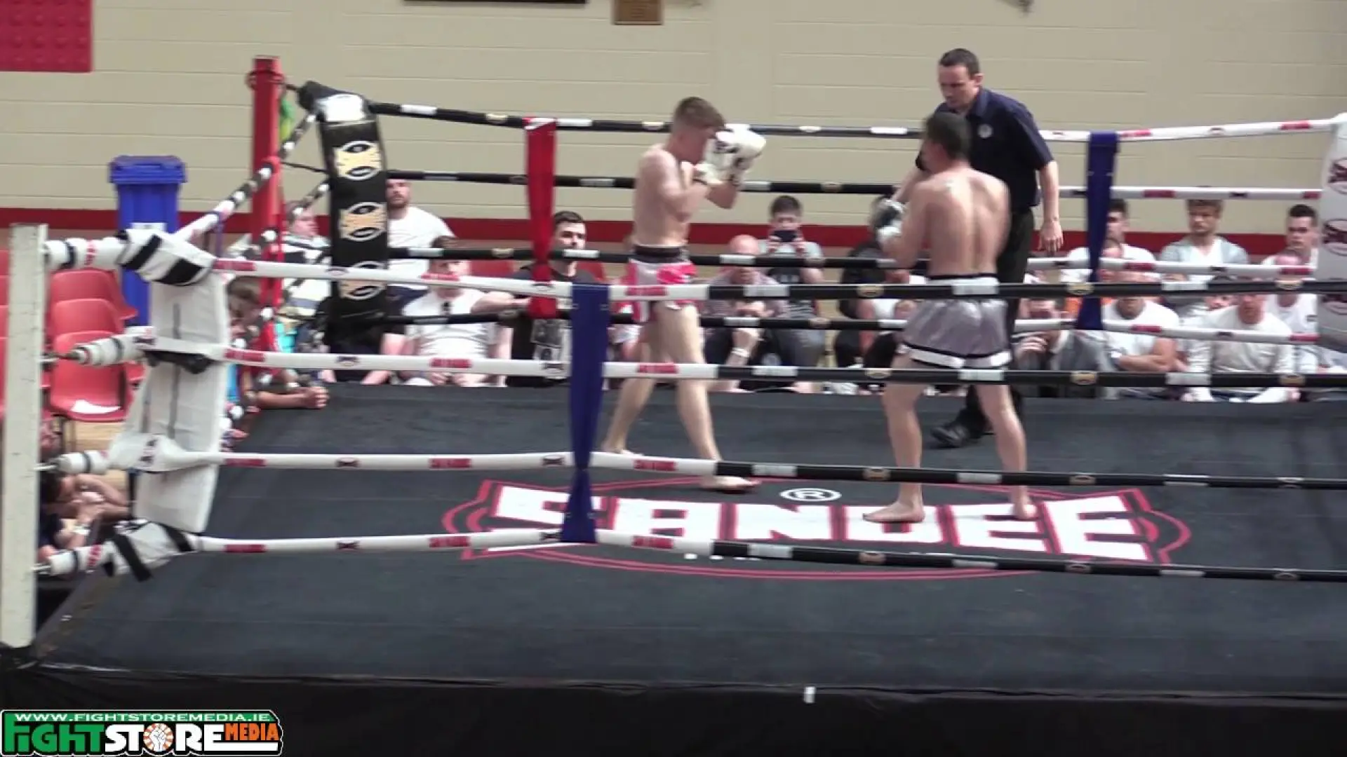 Cian Hurley vs Dillion Scannell (Fight Video)