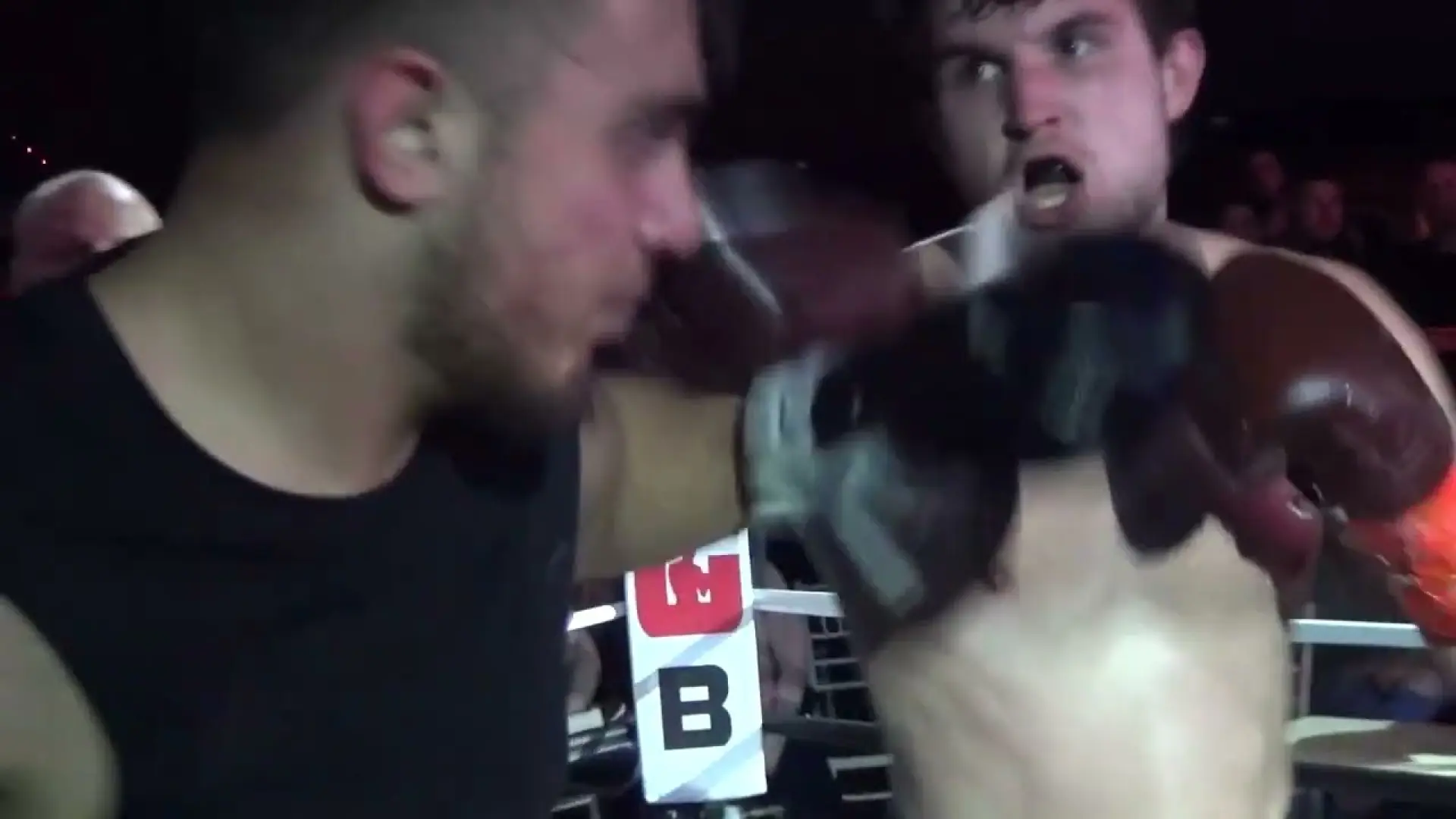 Haydn Moutarde vs Ray Bennet (Fight Video)