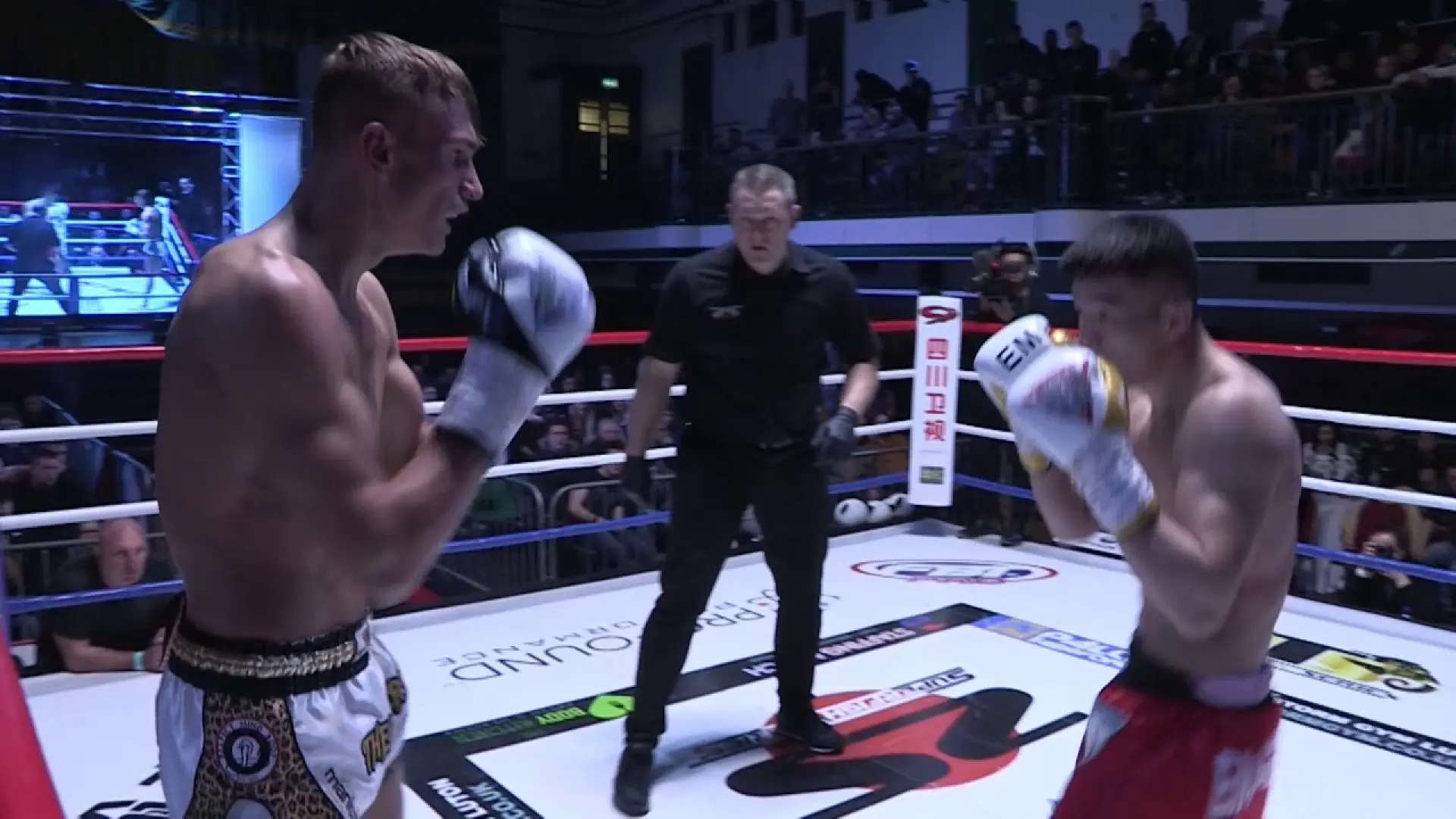 Vinny Church vs Liu Lei (Fight Video)