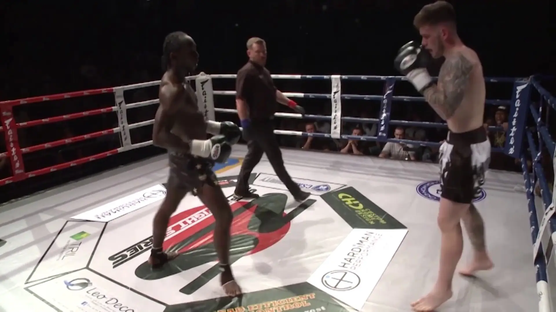 Kyle Todd vs Robert Vereyken