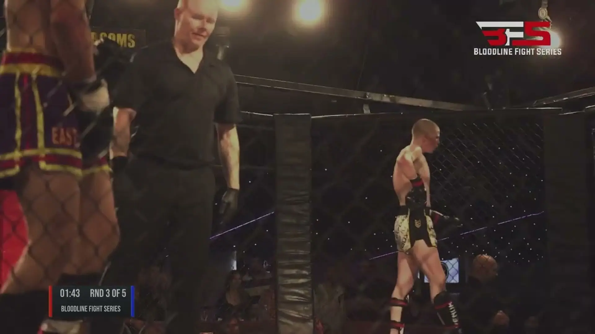 Tom Di Giulio vs Josh Bradbury