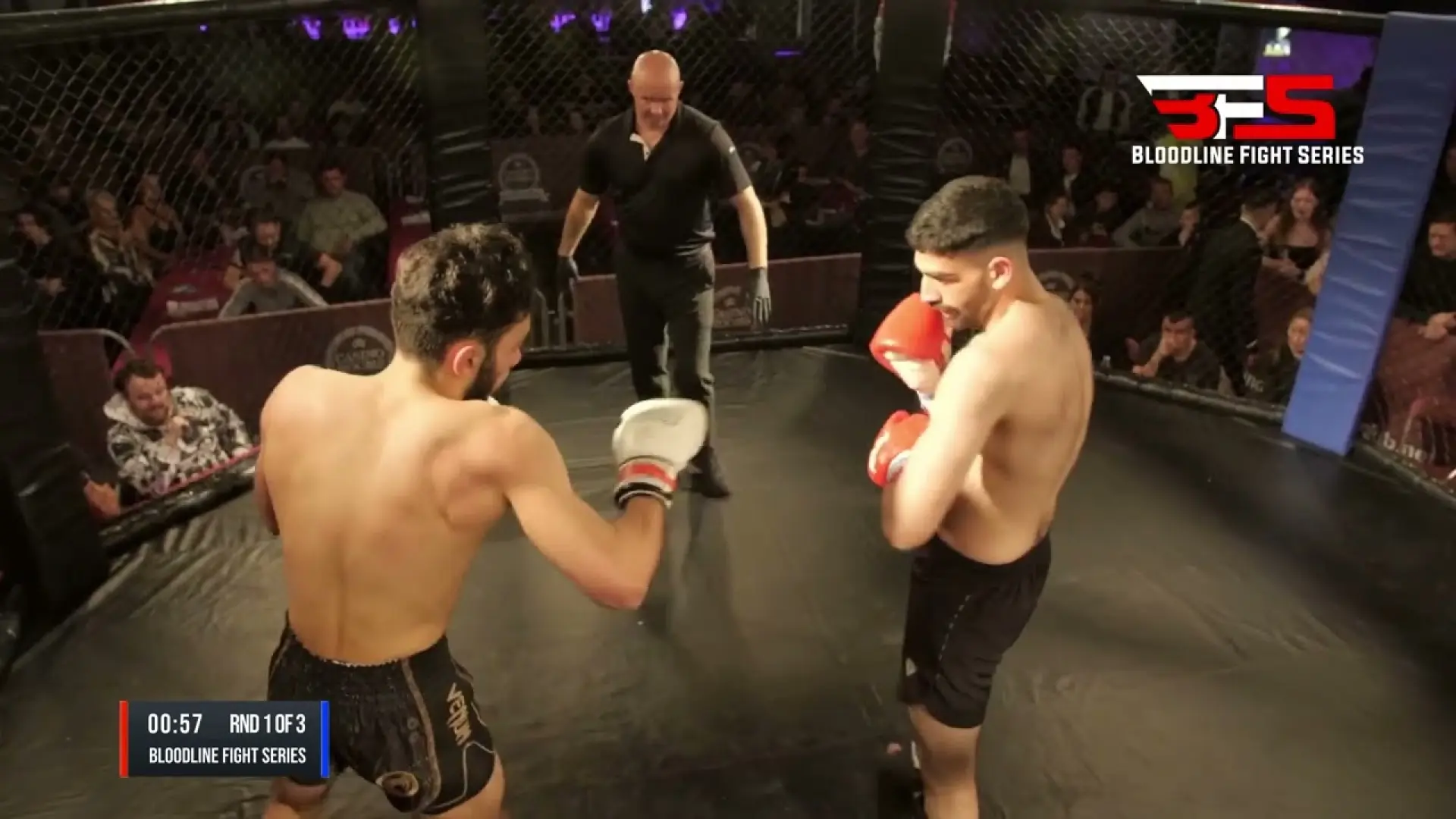 Will Williams vs Michael Megkistou (Fight Video)