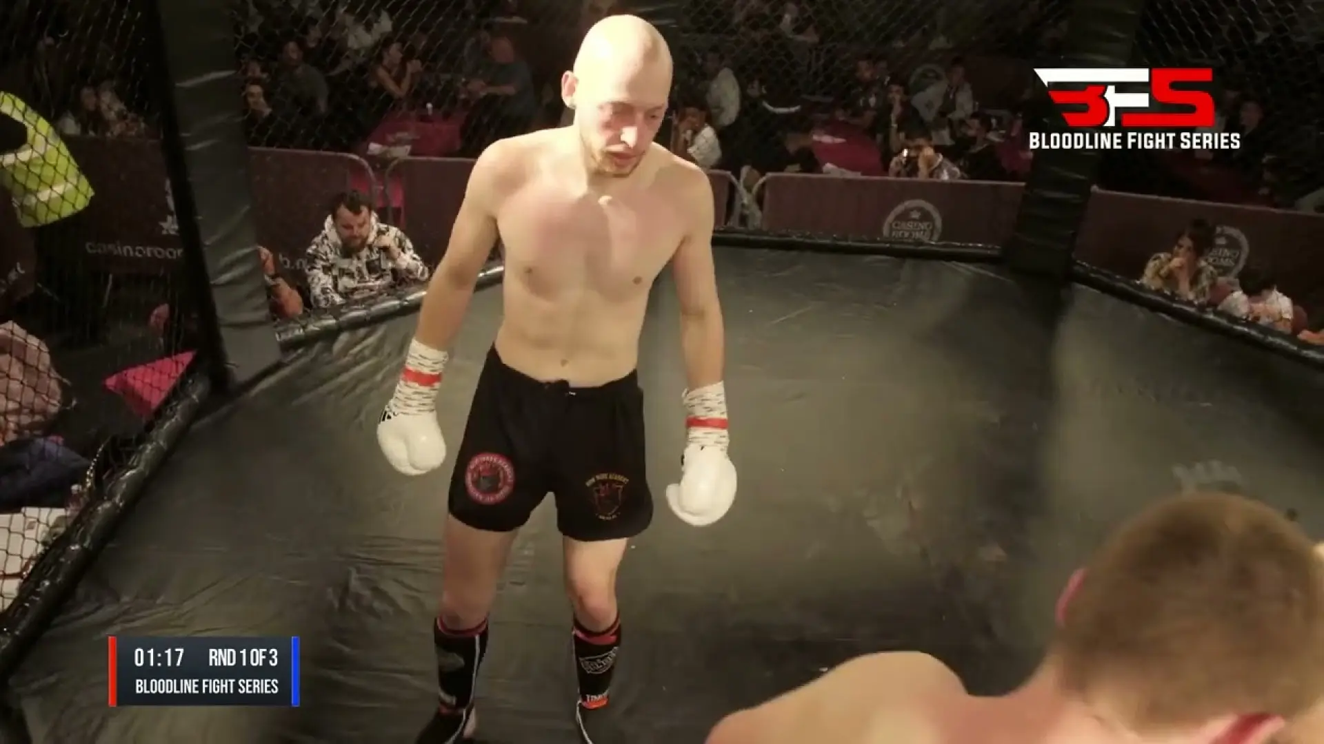 James Farmer vs Louis Gillespie (Fight Video)