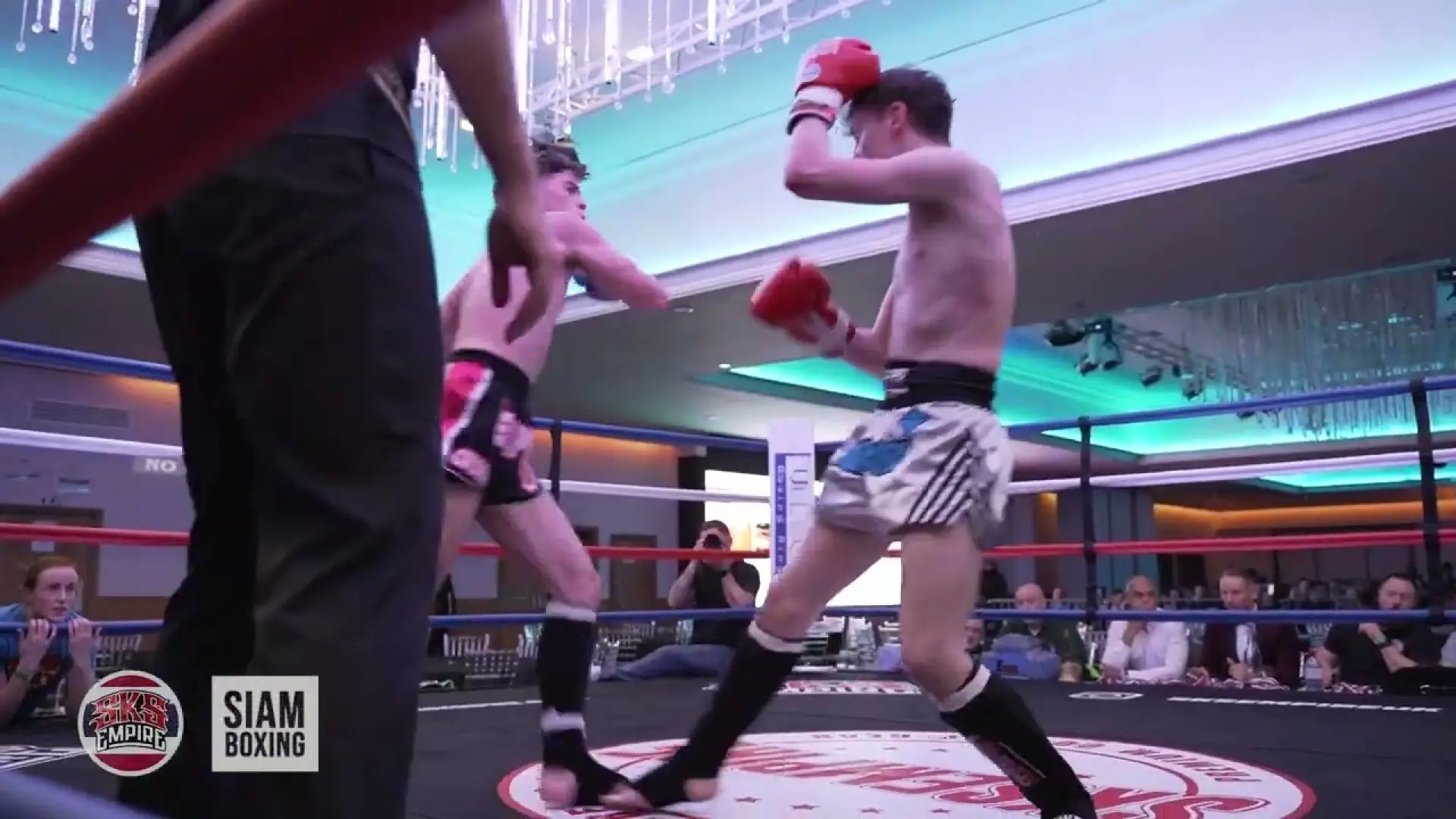 David Brunt vs Dan McConnel (Fight Video)
