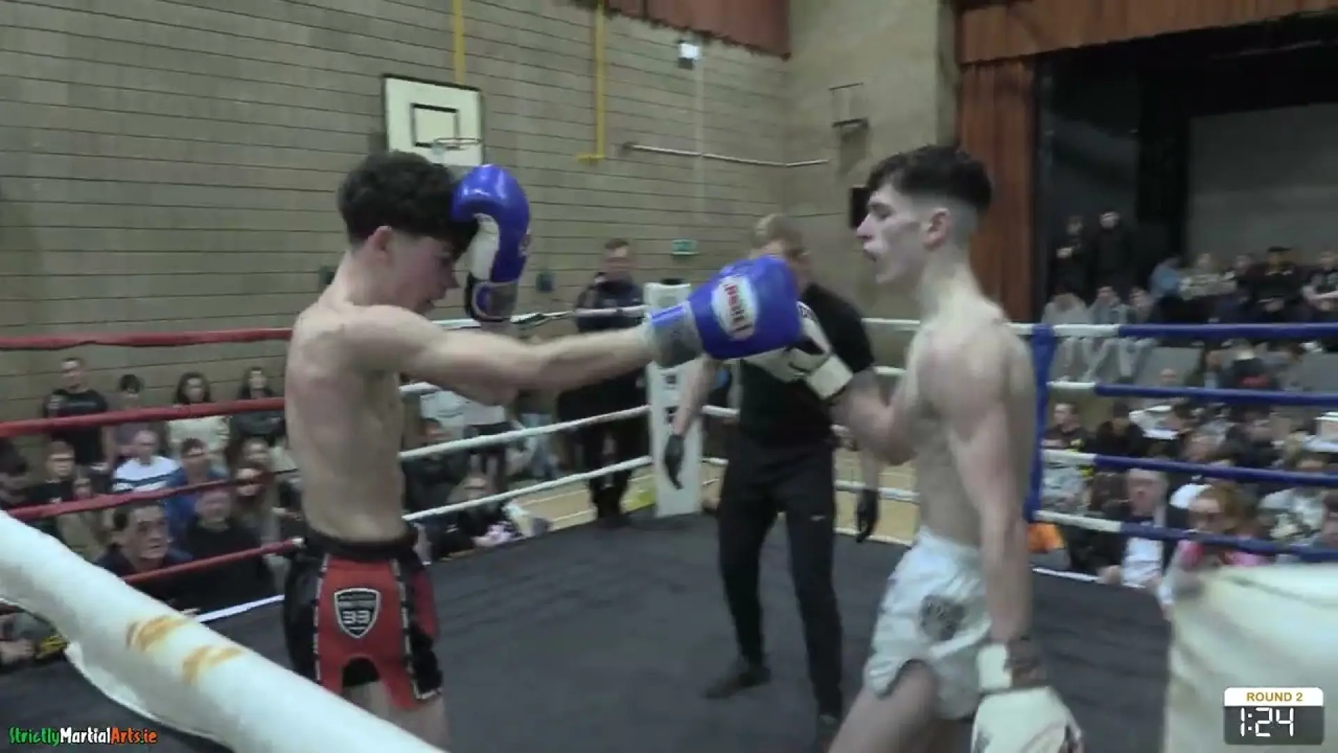 Cal Cooney vs Luke McGrath (Fight Video)