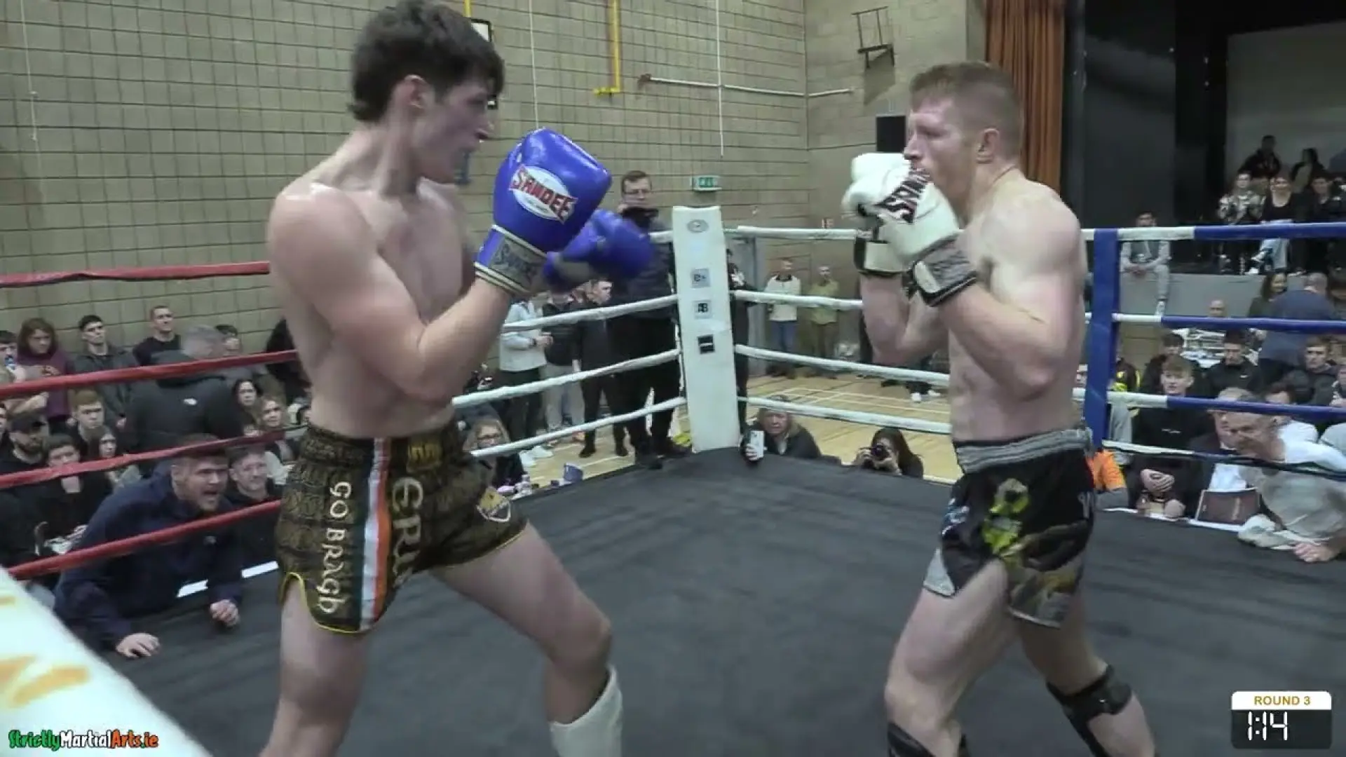 Kurt Nugent vs Matthew Loughran (Fight Video)