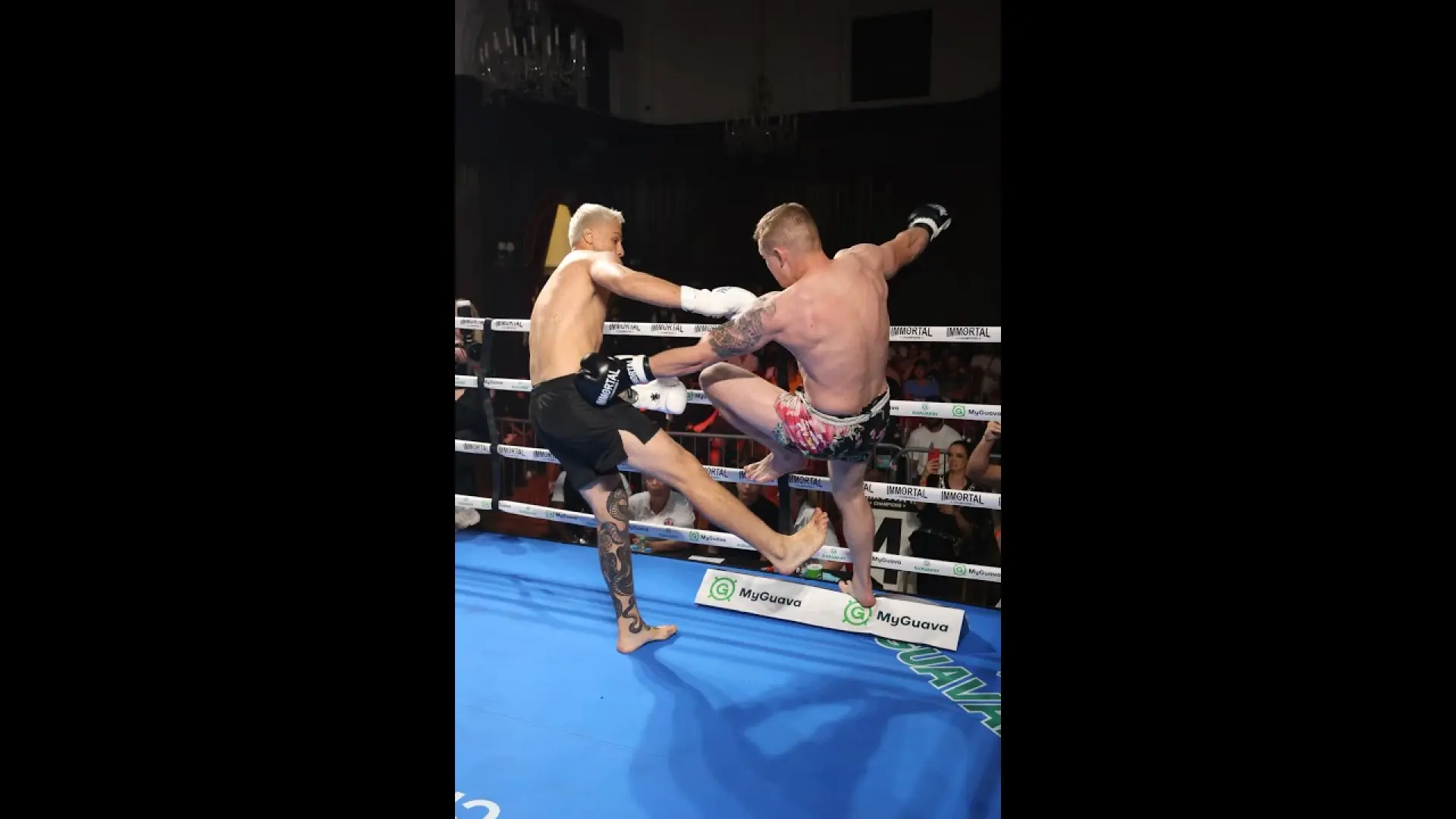 Alexandru Velenciuc vs Aidas Ceckauskas