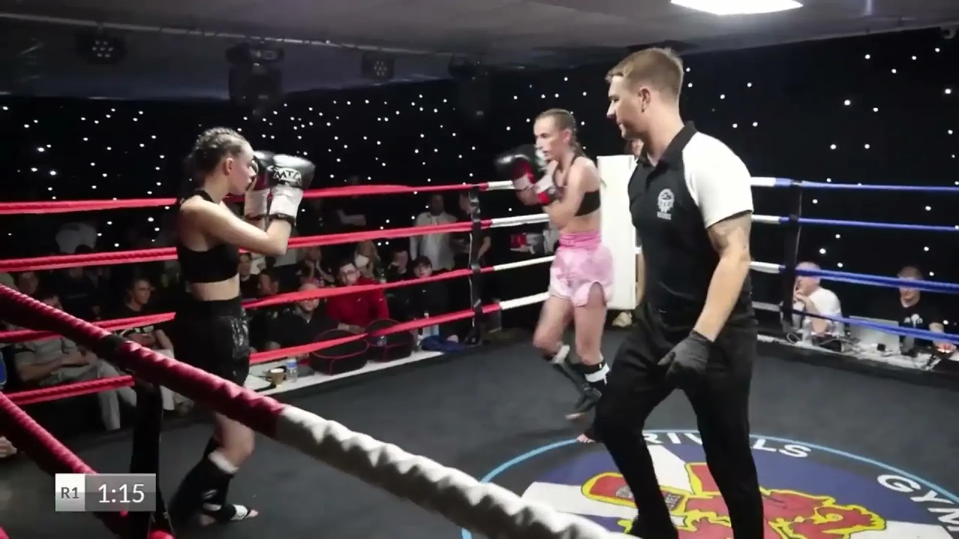 Davie Gardiner vs Josh Siu (Fight Video)