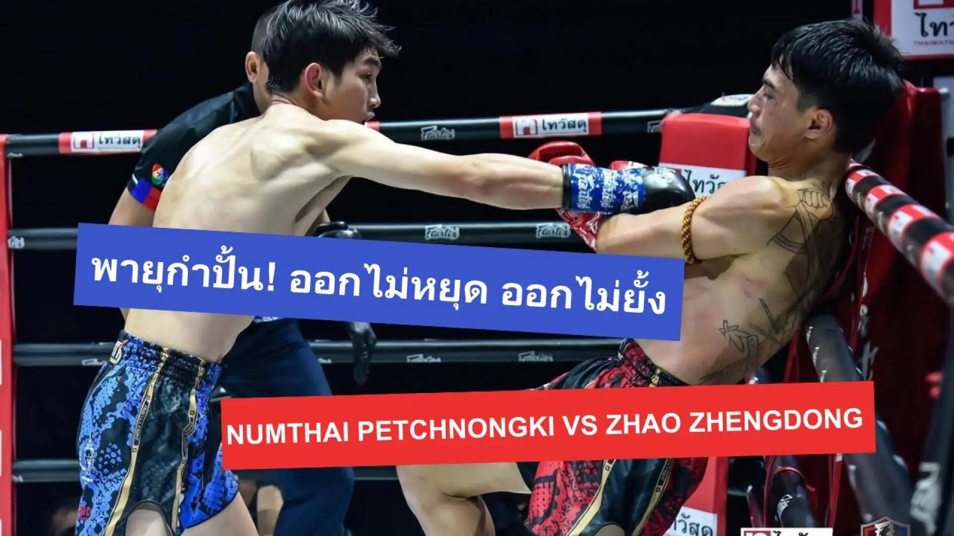 Numthai Petchnongki vs Zhao Zhengdong