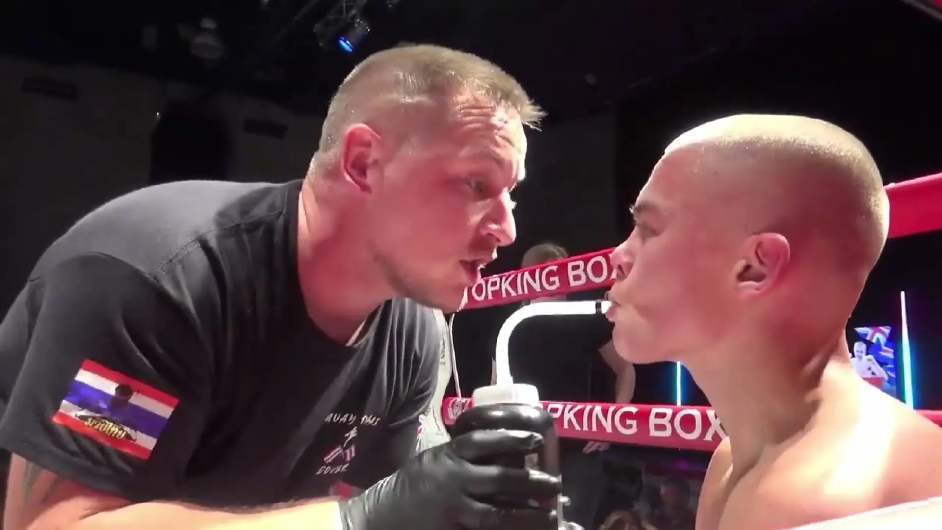 Brodie Dines vs Shakur Maulana