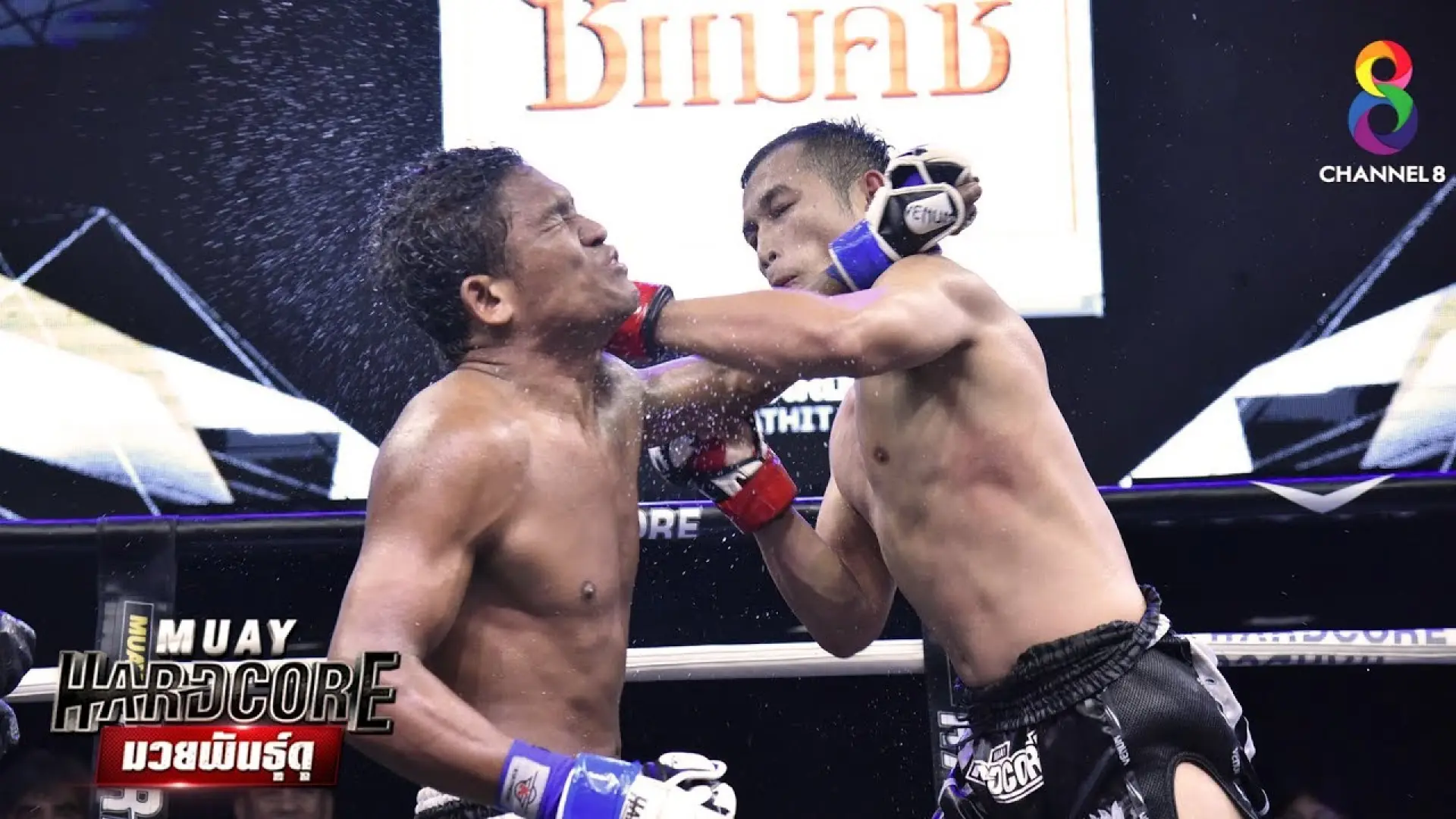 Torluang Por Fuengprayoon vs Peyman Zolfaghari
