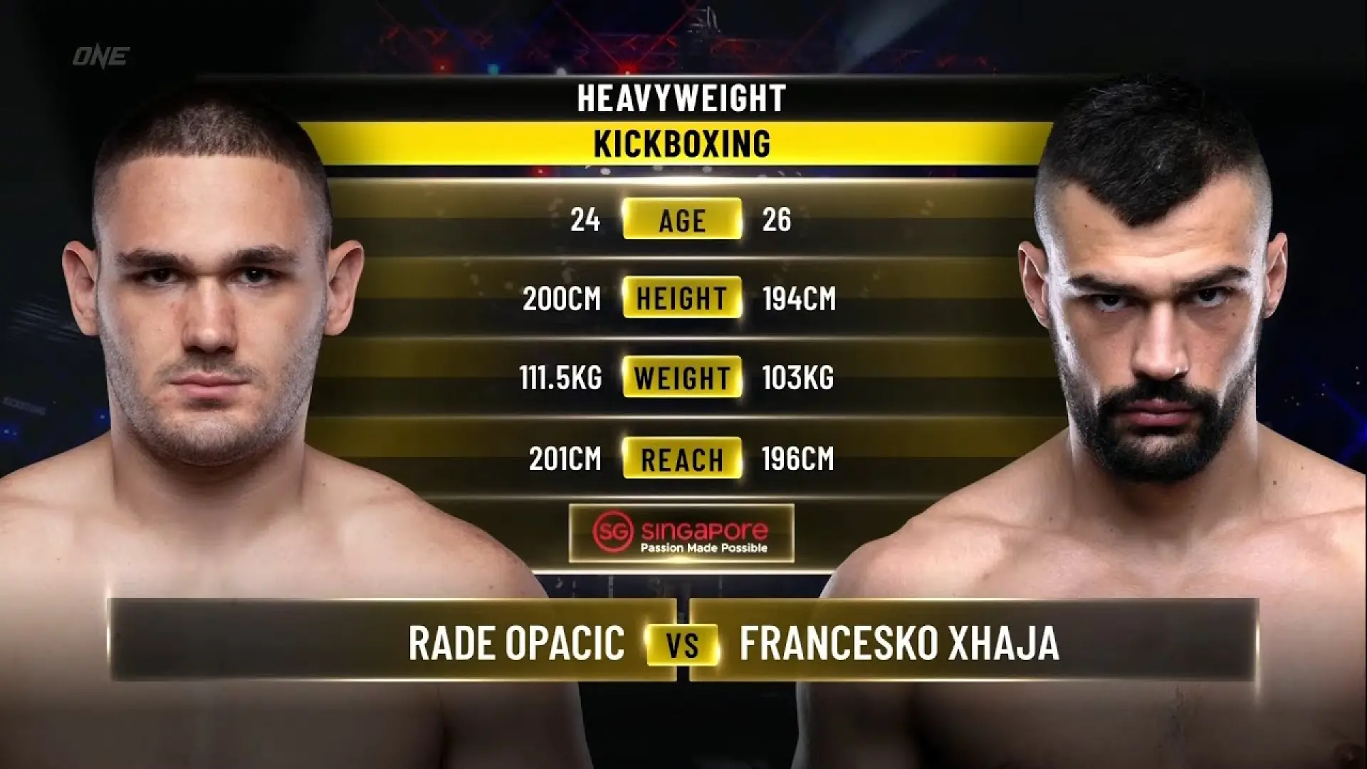 Rade Opačić vs Françesko Xhaja