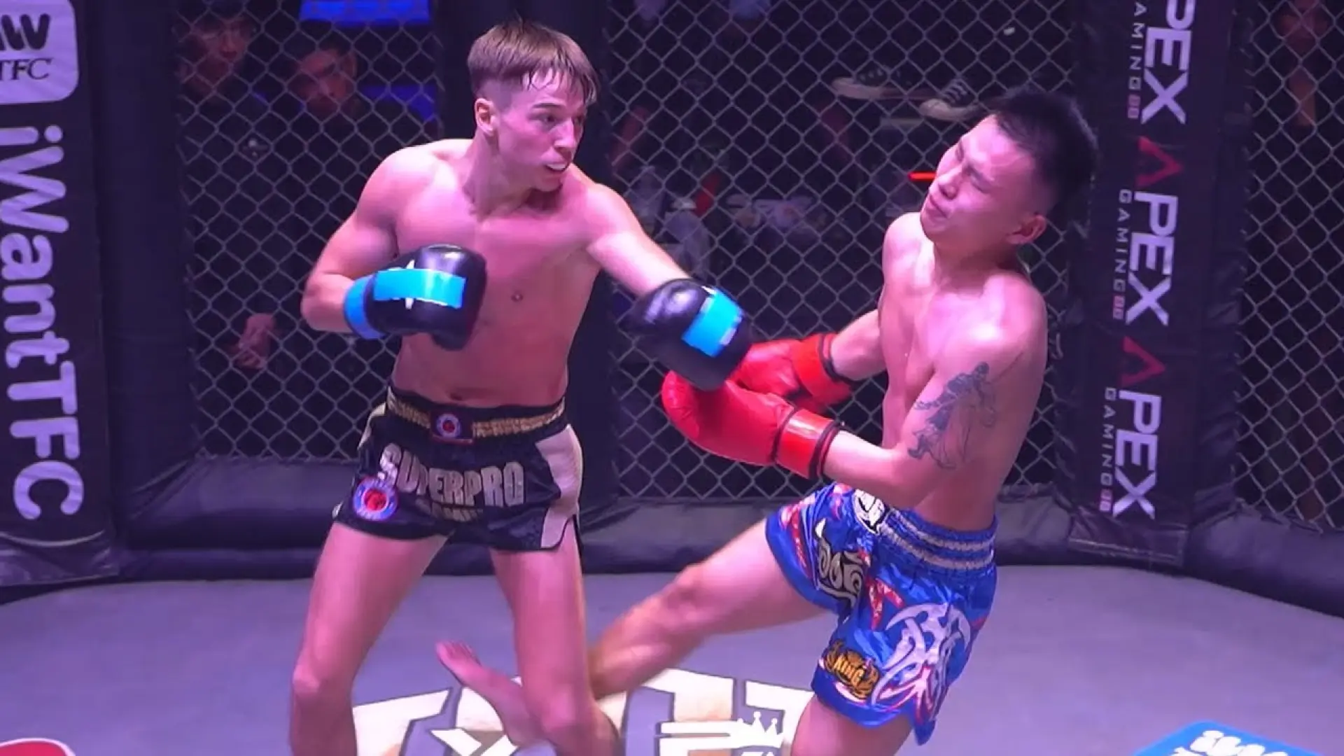 Cal Cook vs Liang An