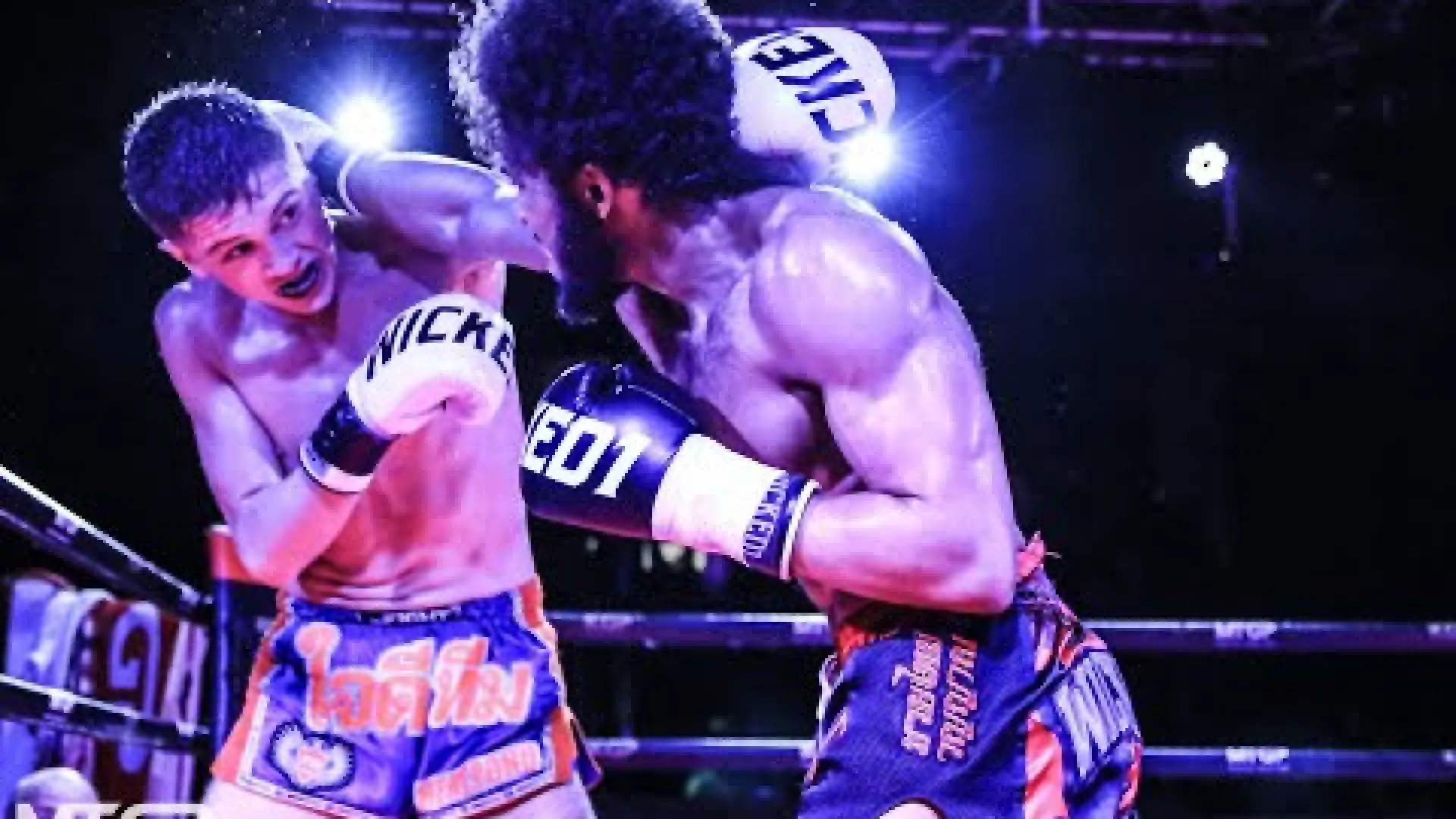 Alfie Pearse vs Helder Tavares (Fight Video)