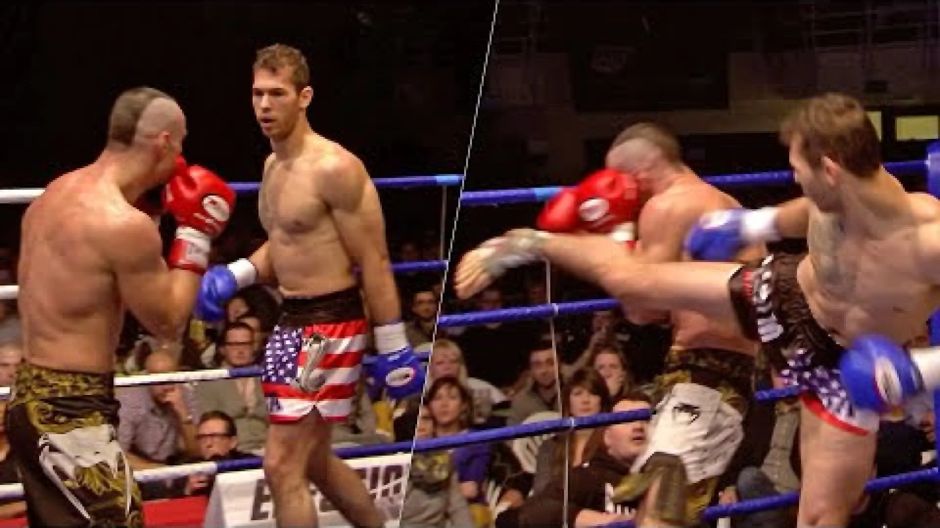 Andrew Tate vs David Radeff (Fight Video)