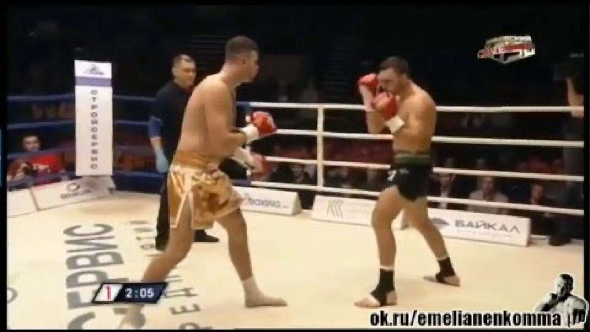 Artem Levin vs Daniel Alexandru (Fight Video)