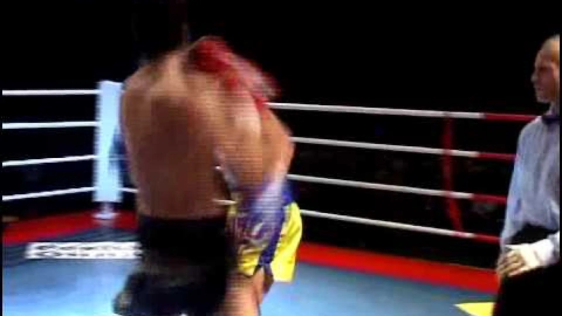 Artem Levin vs Vitor Pereira (Fight Video)