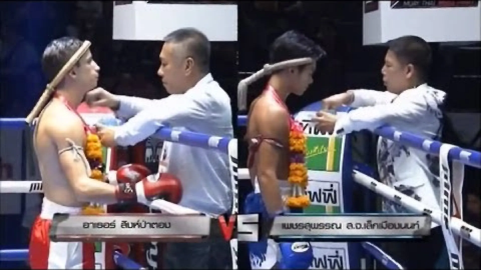 Arthur Meyer vs Petsupan Sor.Jor.Lekmuangnont (Fight Video)