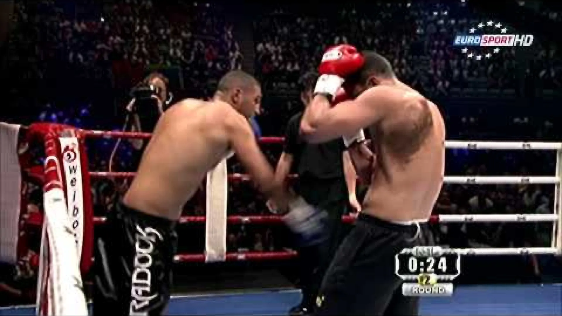 Badr Hari vs Anderson Silva (Fight Video)