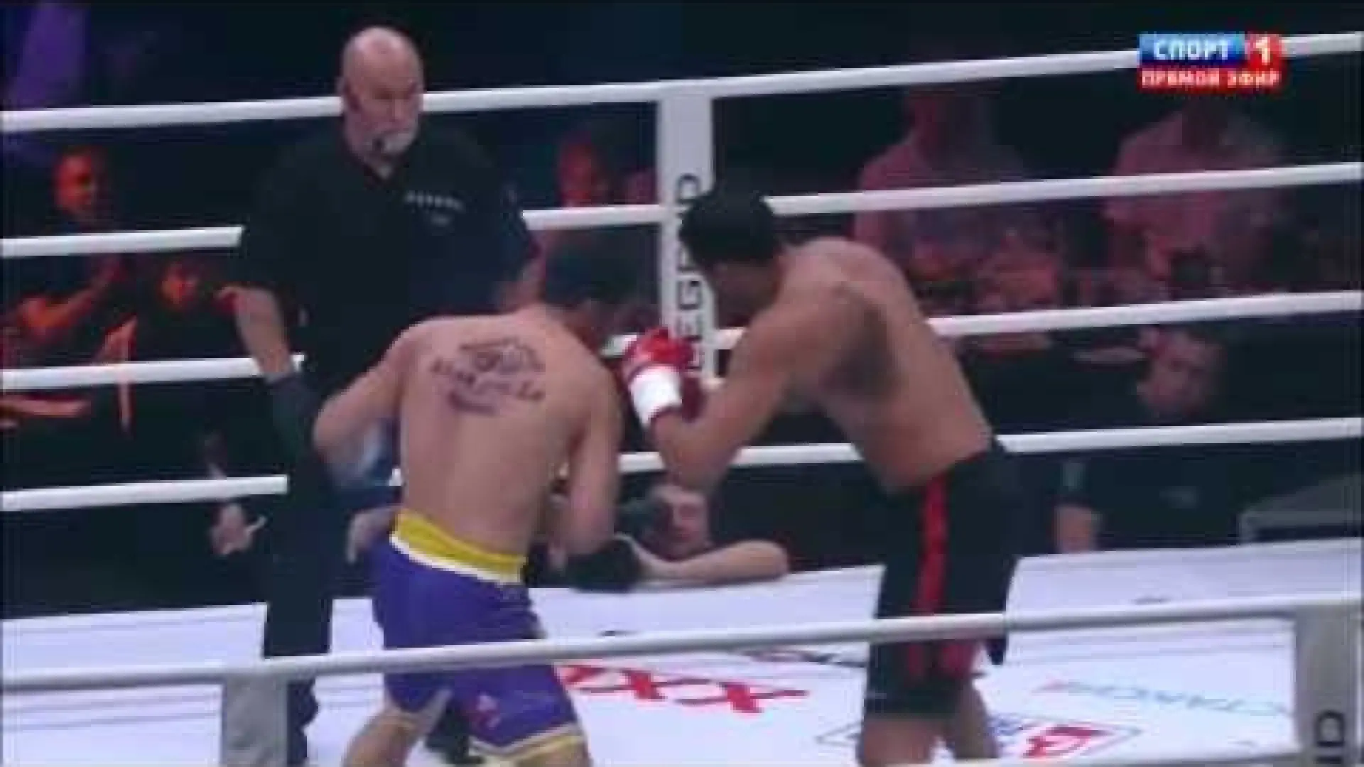Badr Hari vs Zabit Samedov (Fight Video)