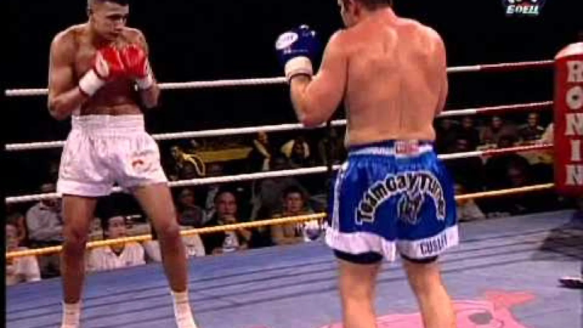Badr Hari vs Gary Turner (Fight Video)