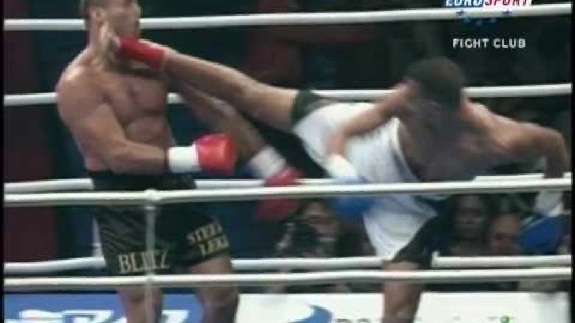 Badr Hari vs Ray Sefo (Fight Video)
