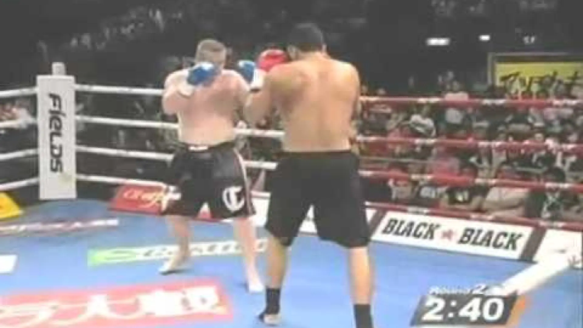 Badr Hari vs Peter Graham (Fight Video)