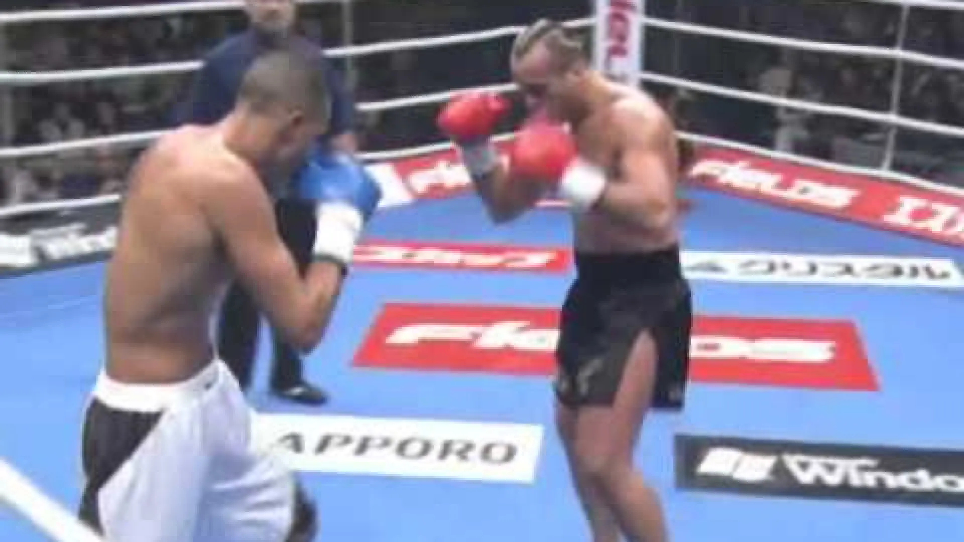 Badr Hari vs Stefan Leko (Fight Video)