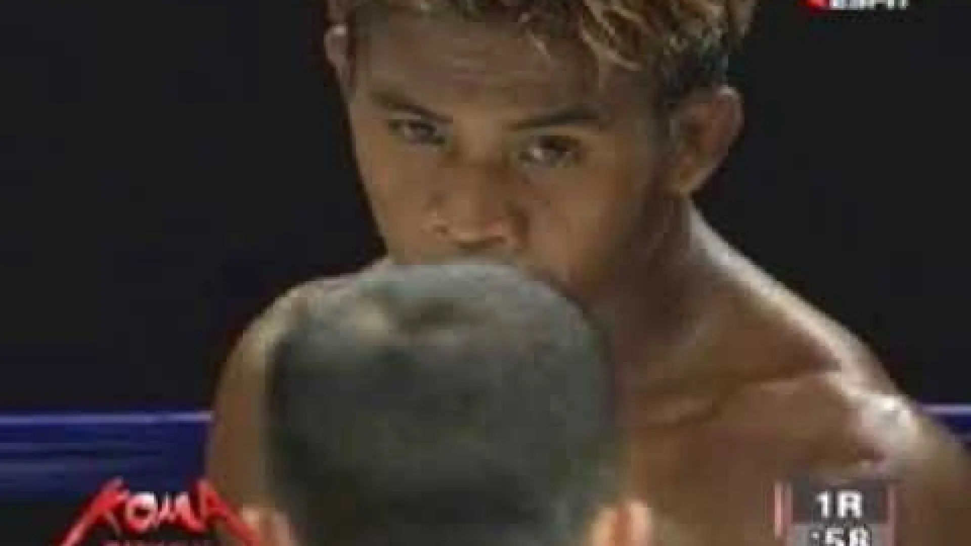 Buakaw Banchamek vs Timor Daal (Fight Video)