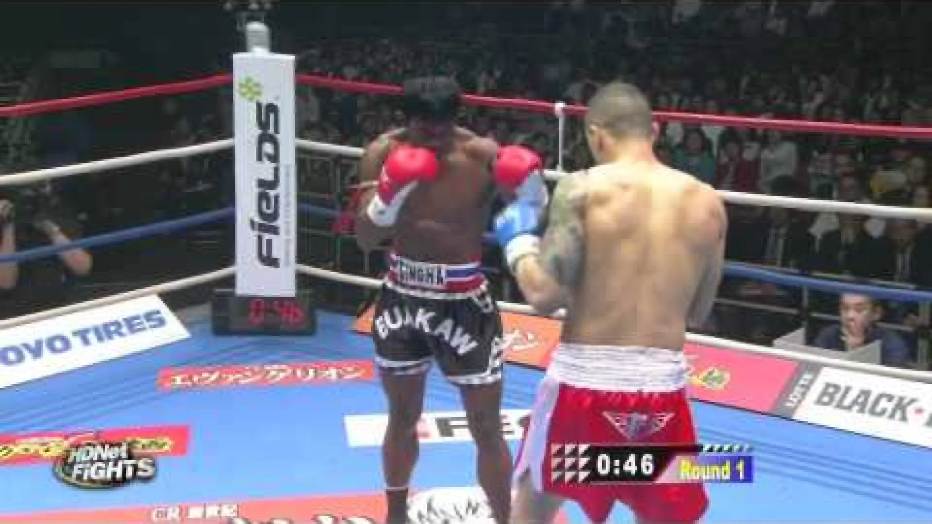 Buakaw Banchamek vs Andre Dida (Fight Video)