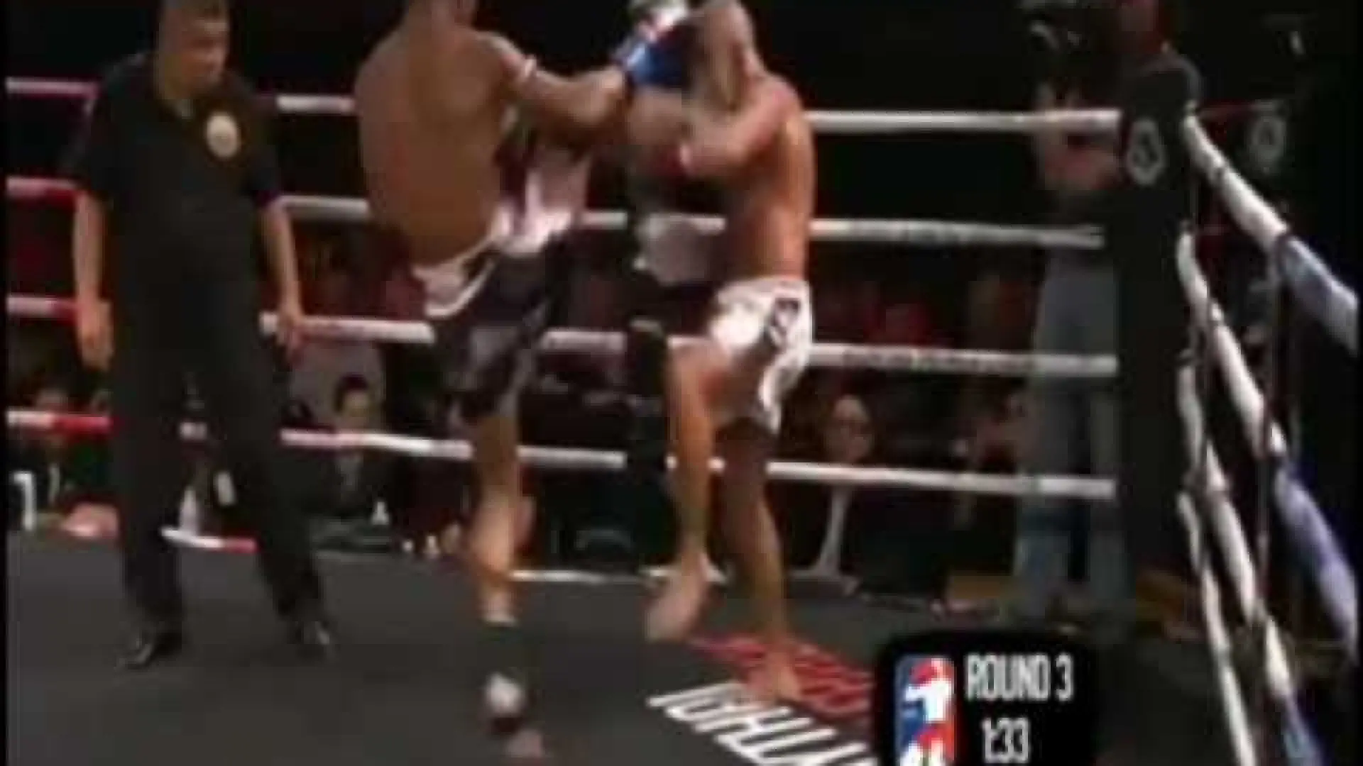 Buakaw Banchamek vs Warren Stevelmans (Fight Video)