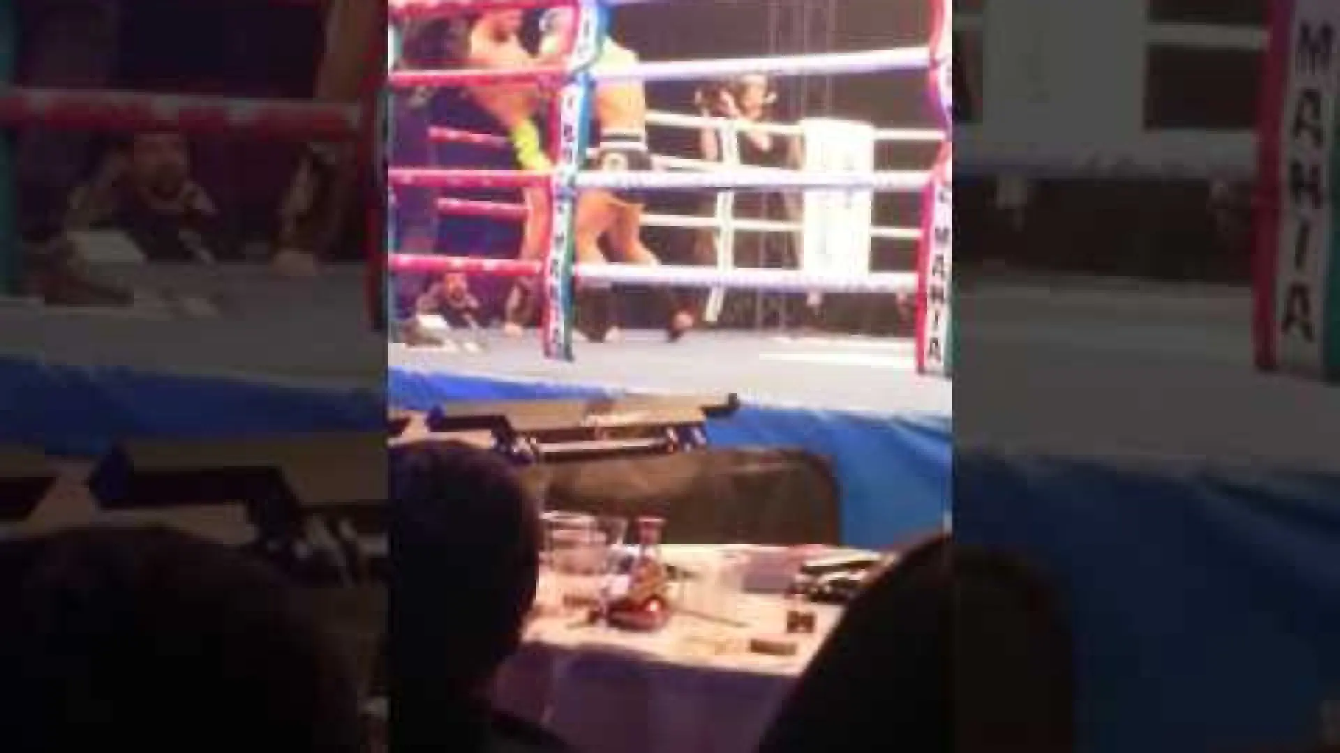 Chingiz Allazov vs Karim Allous (Fight Video)