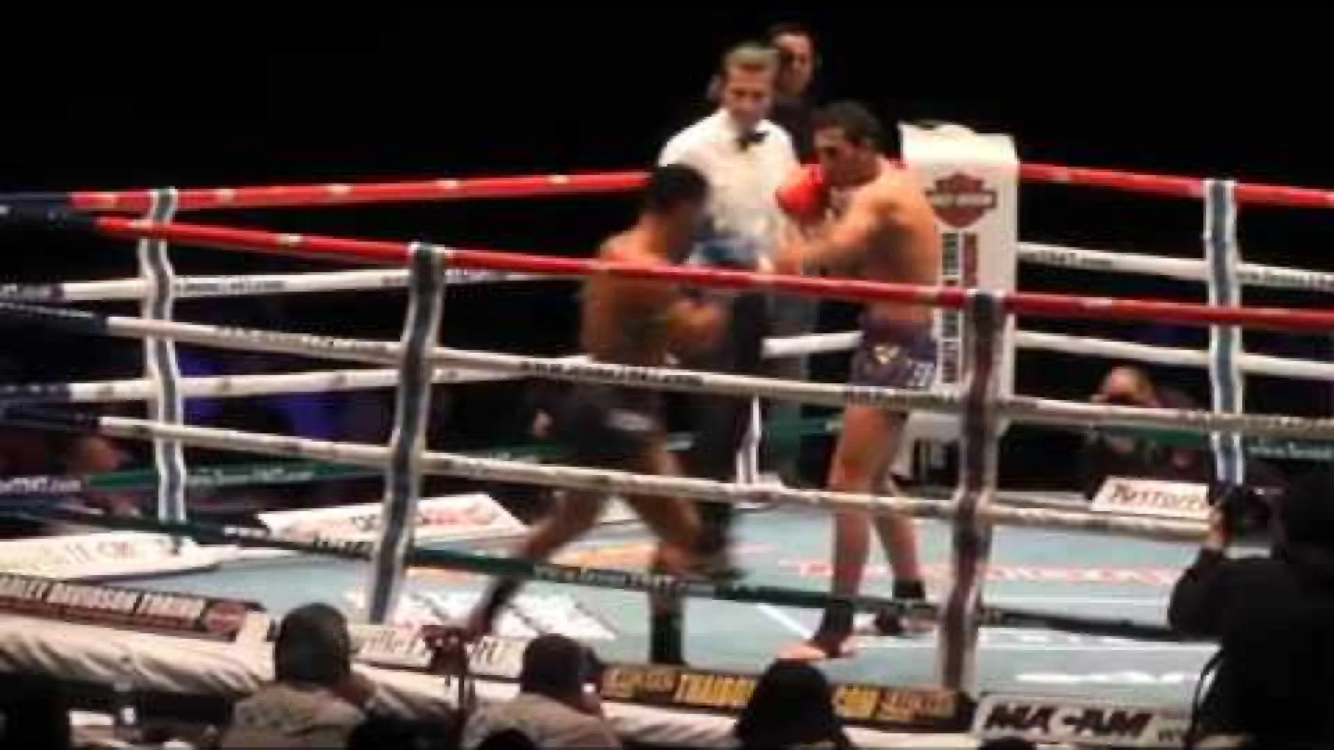 Chingiz Allazov vs Erkan Varol (Fight Video)