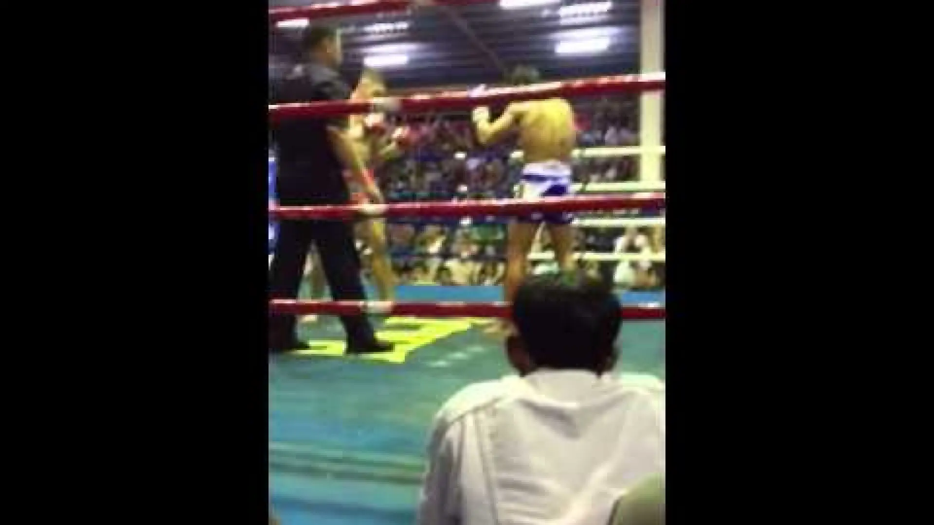 Damien Alamos vs Lampard Sor Kamsing (Fight Video)