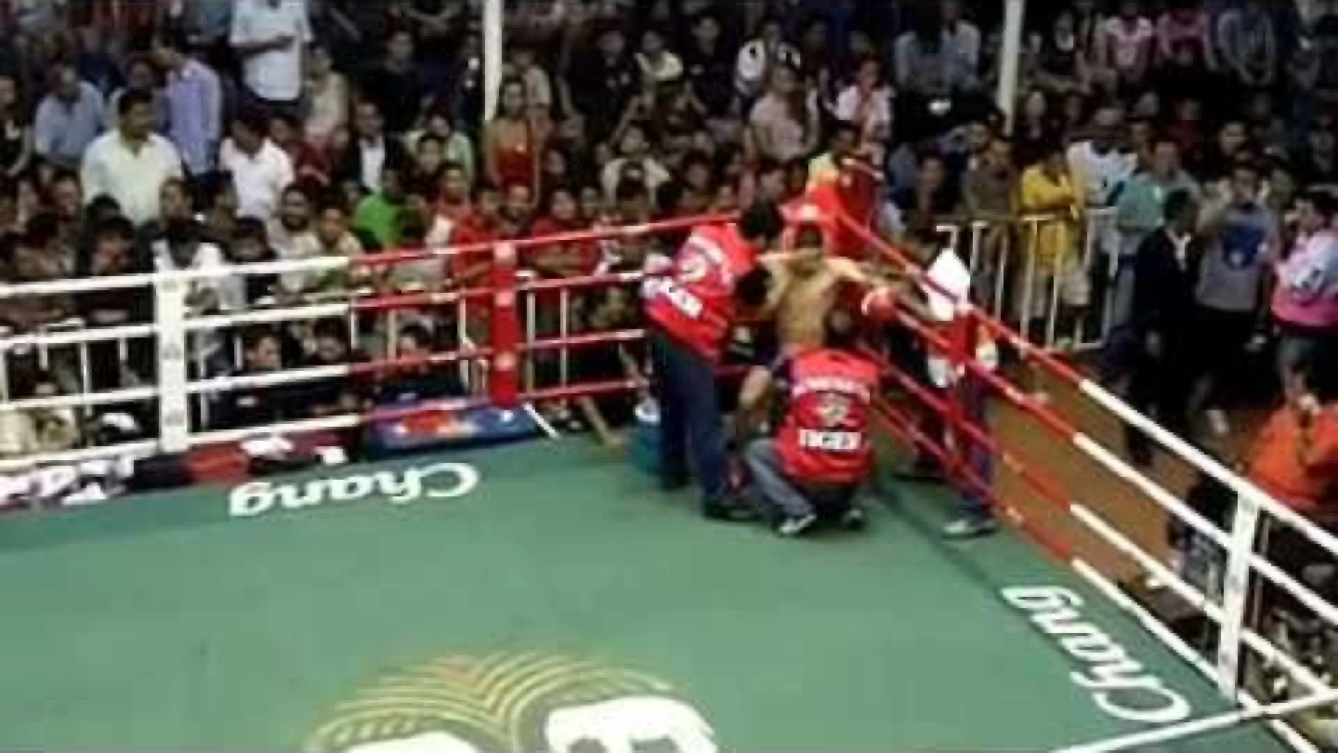 Damien Alamos vs Unknown Unknown (Fight Video)