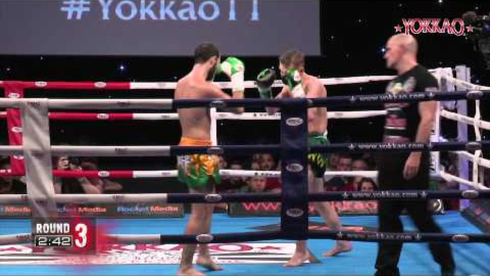 Daniel McGowan vs Nestor Rodriguez (Fight Video)