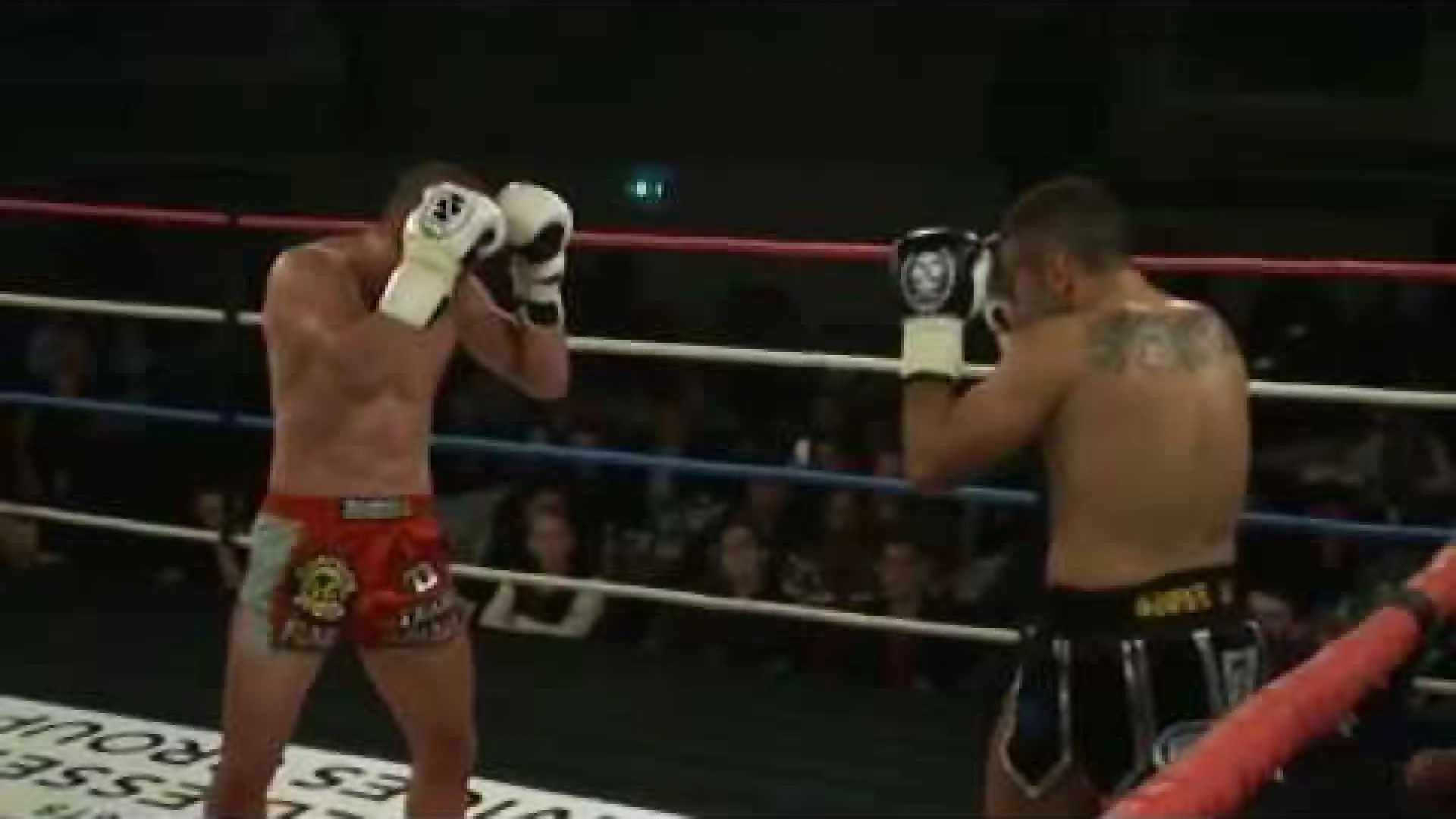 Dzhabar Askerov vs Steve Moxon (Fight Video)