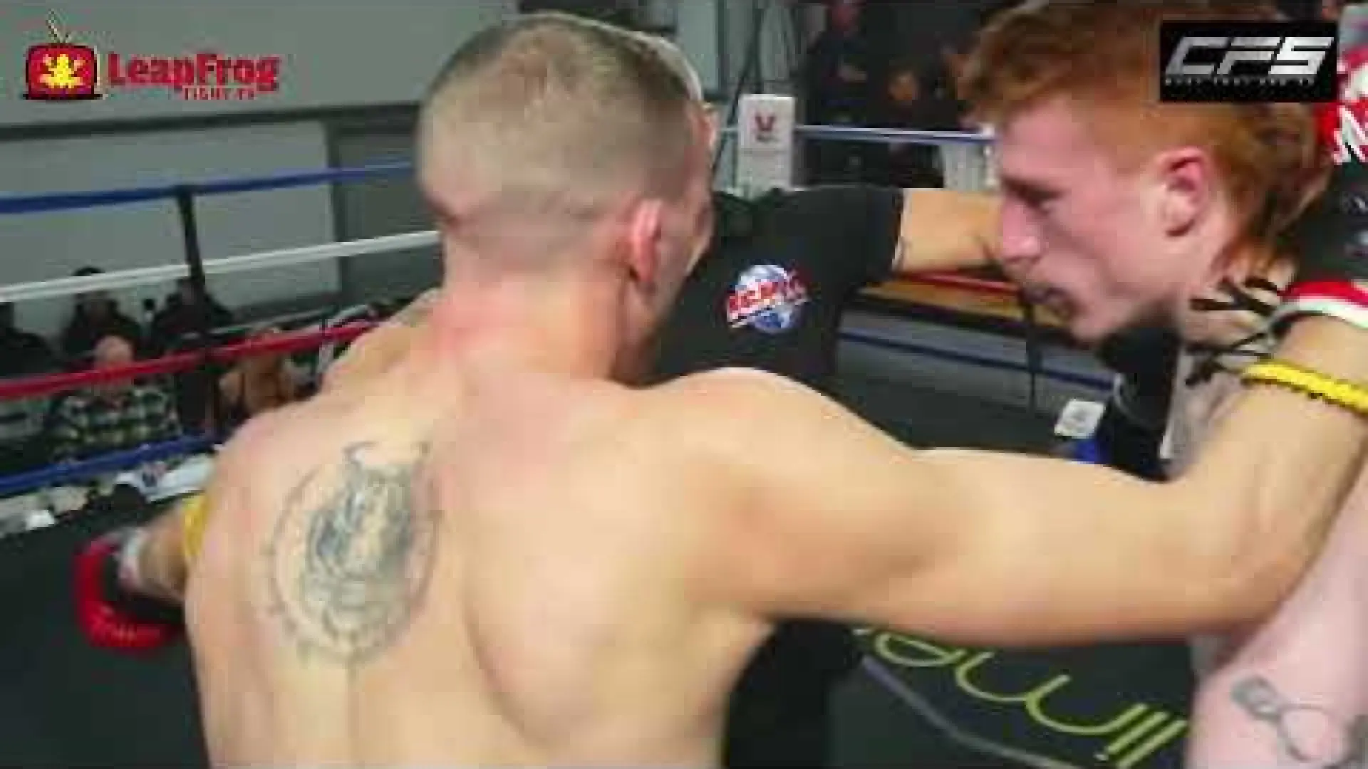 Ed Collins vs Jordan Mercer (Fight Video)
