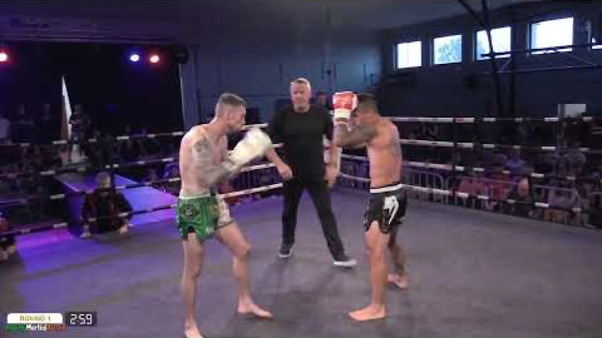 Francesco Sotgiu vs Ryan Sheehan (Fight Video)