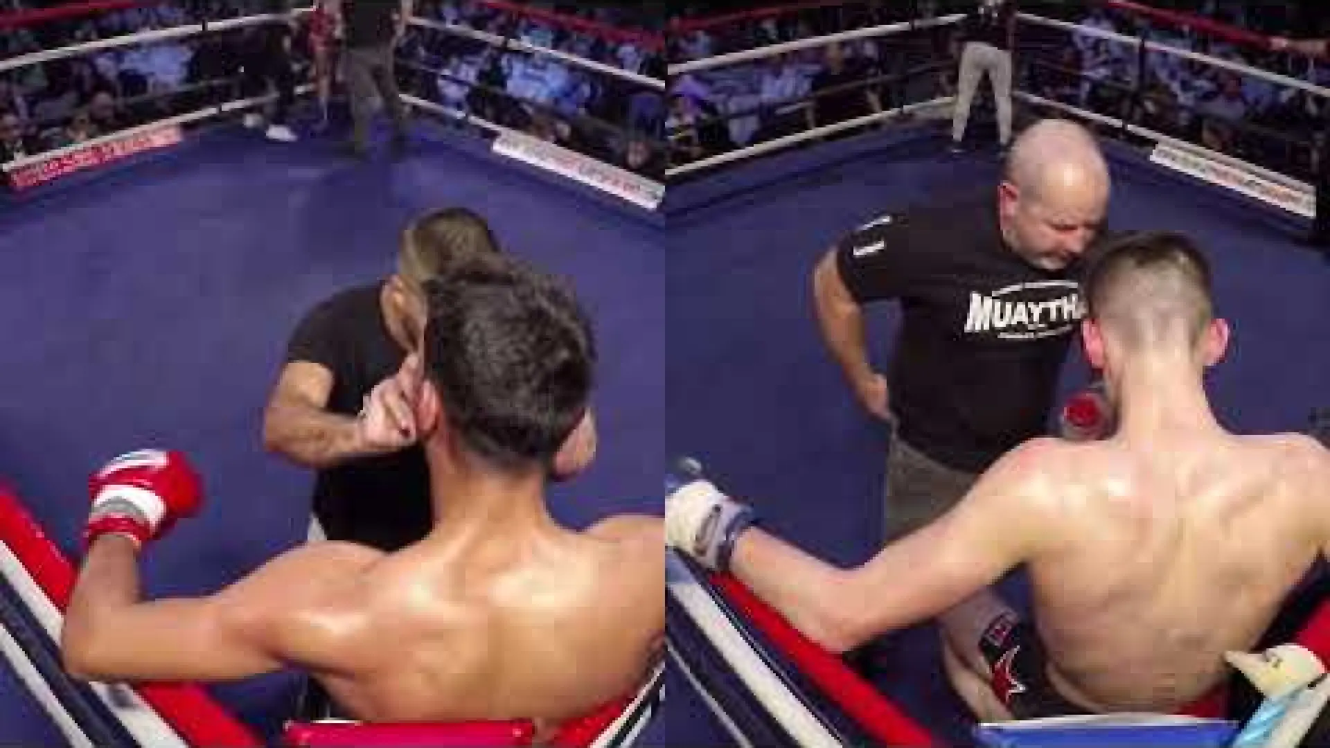 George Jarvis vs Diogo Cardoso (Fight Video)