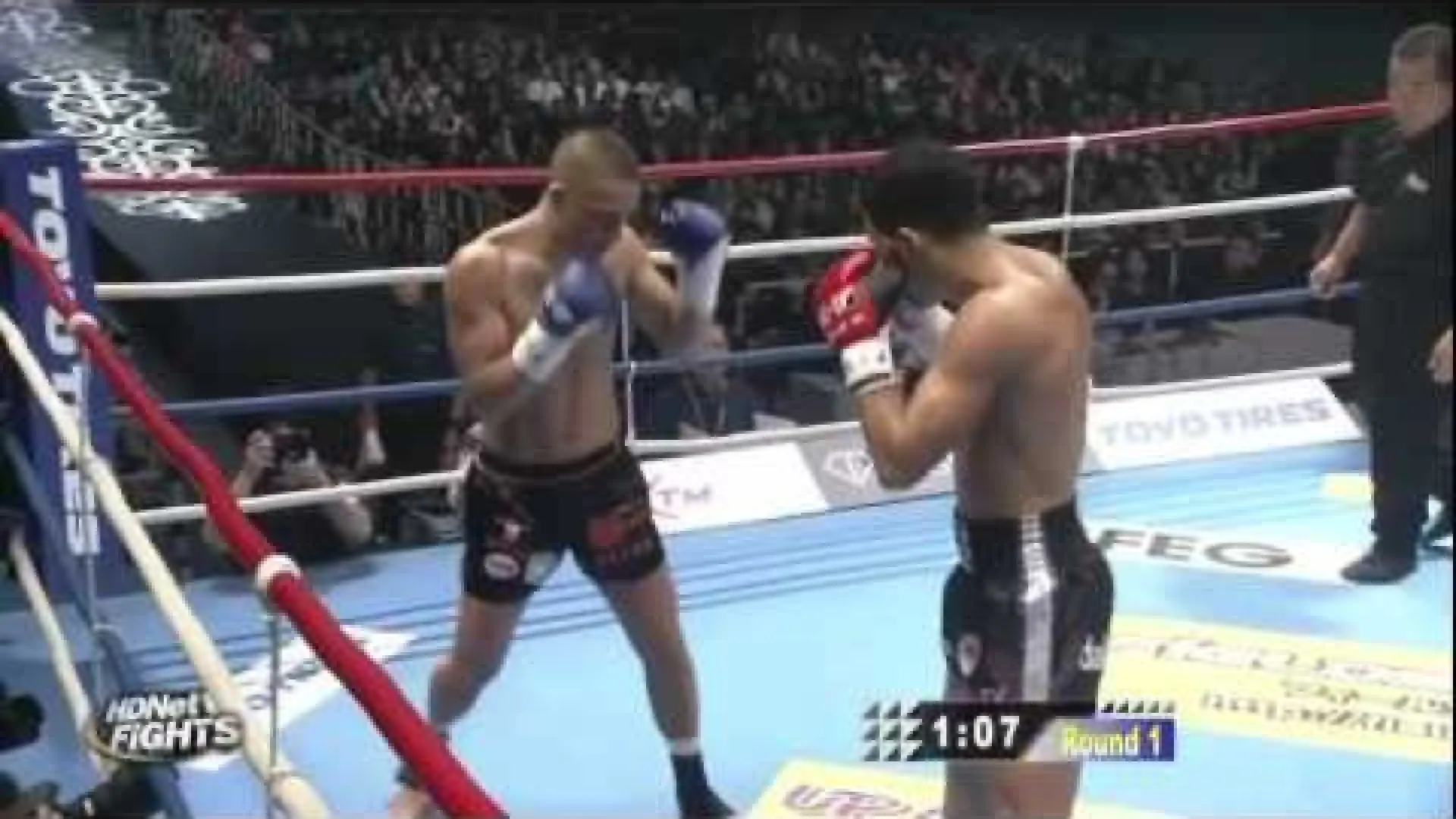 Giorgio Petrosyan vs Andy Souwer (Fight Video)