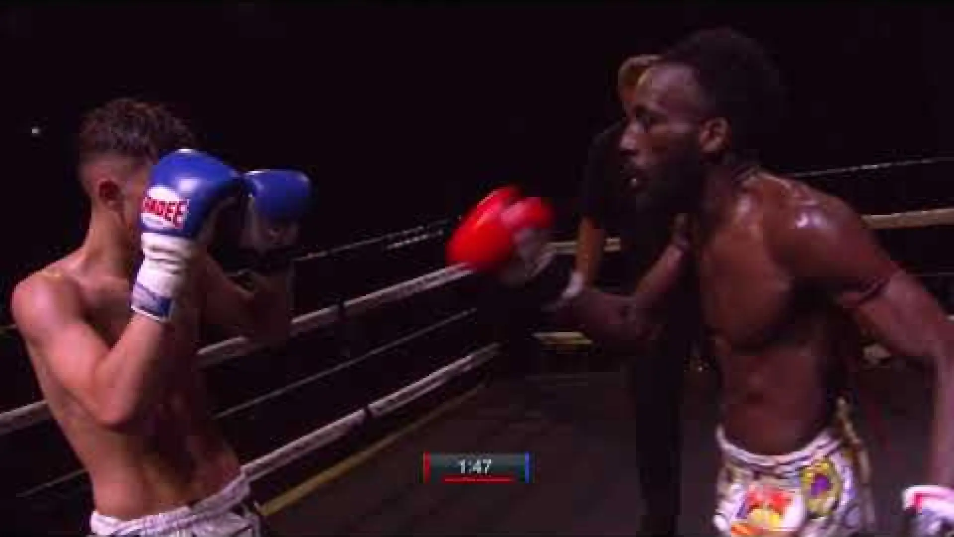 James Macdonald vs Chris Garnett (Fight Video)