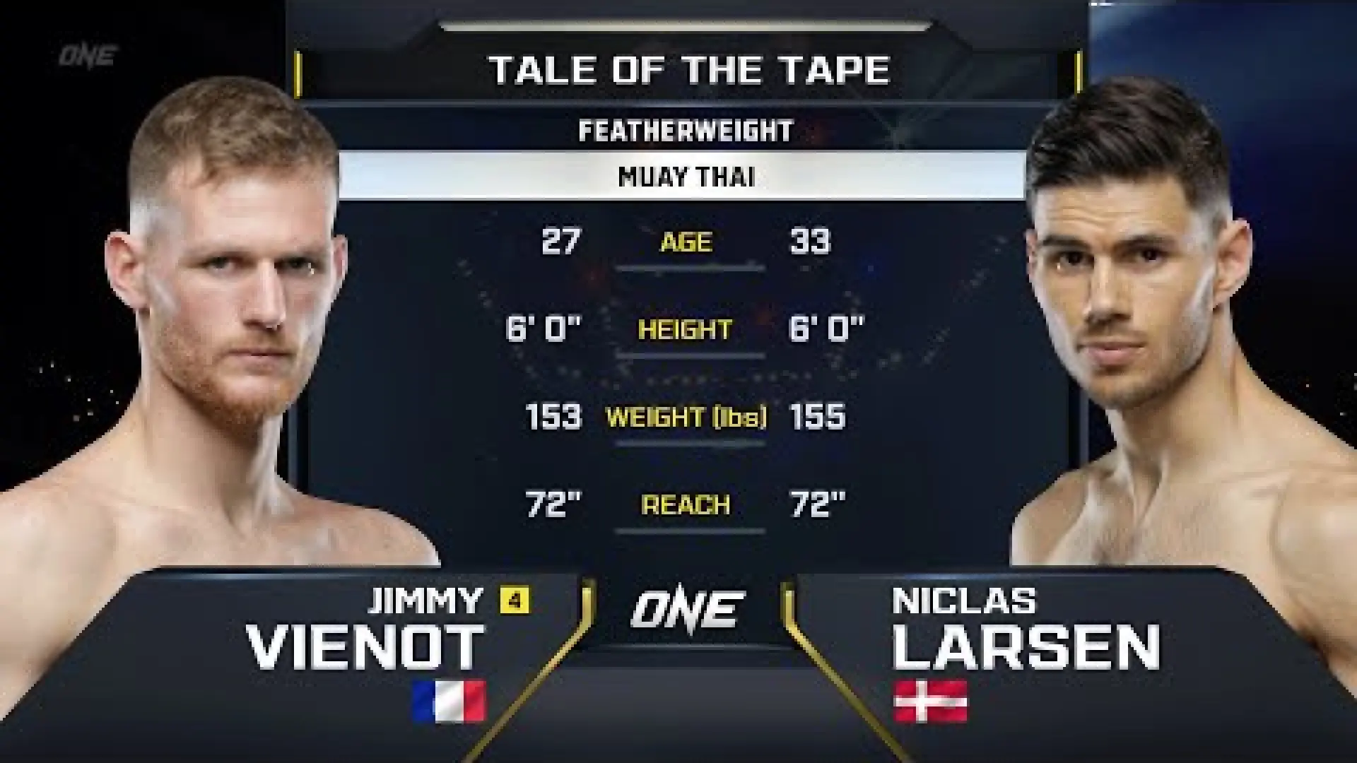 Jimmy Vienot vs Niclas Larsen (Fight Video)