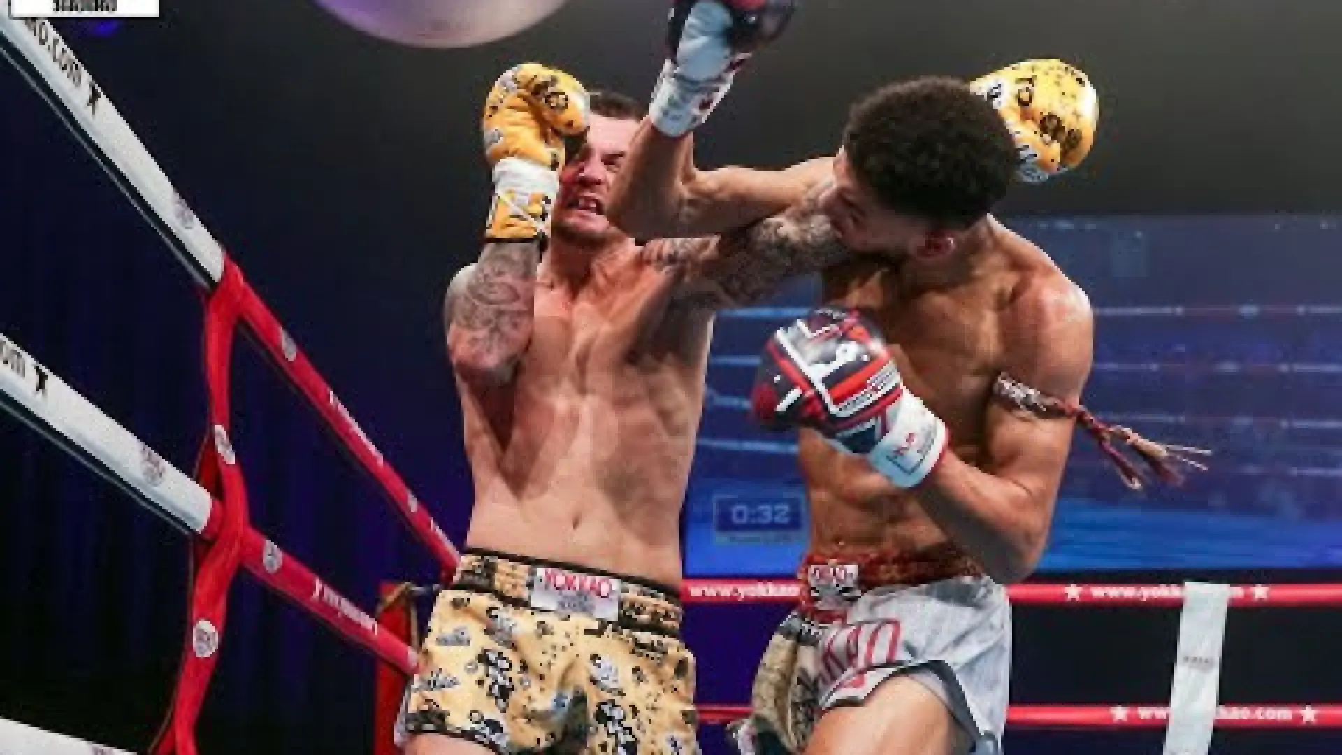 Joe Craven vs Niall Brown (Fight Video)