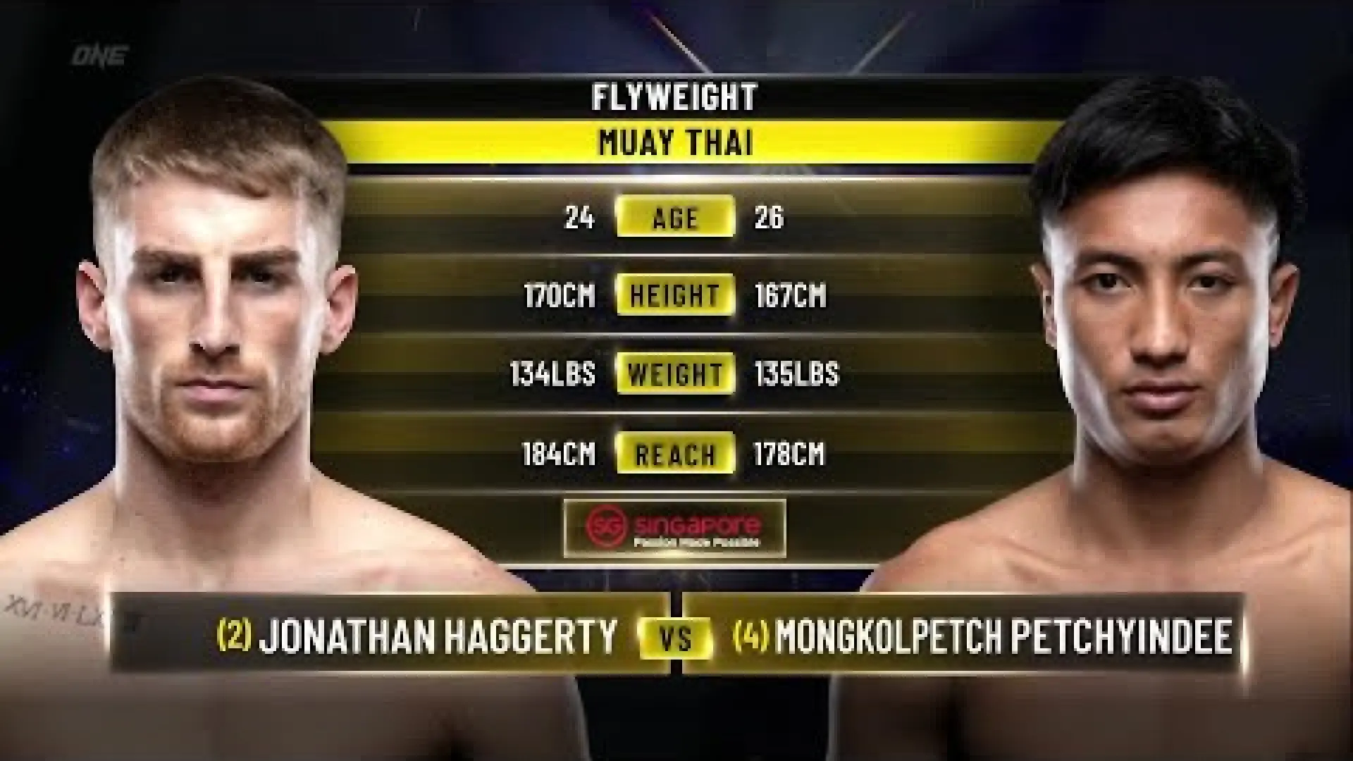 Jonathan Haggerty vs Mongkolpetch Petchyindee (Fight Video)