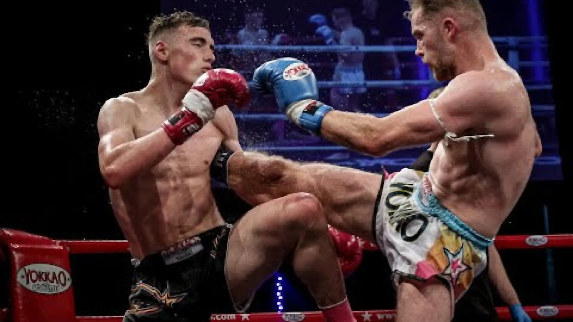 Josh Hill vs Jack Maguire (Fight Video)