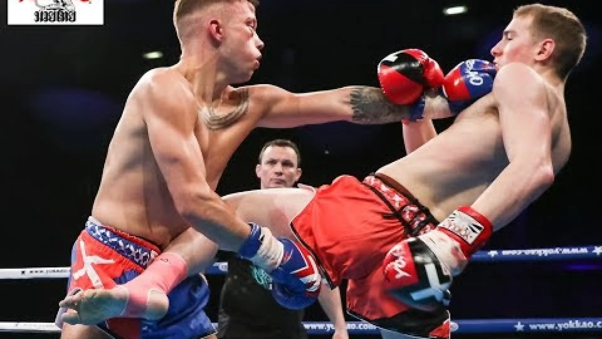 Josh Hill vs Connor McNab (Fight Video)