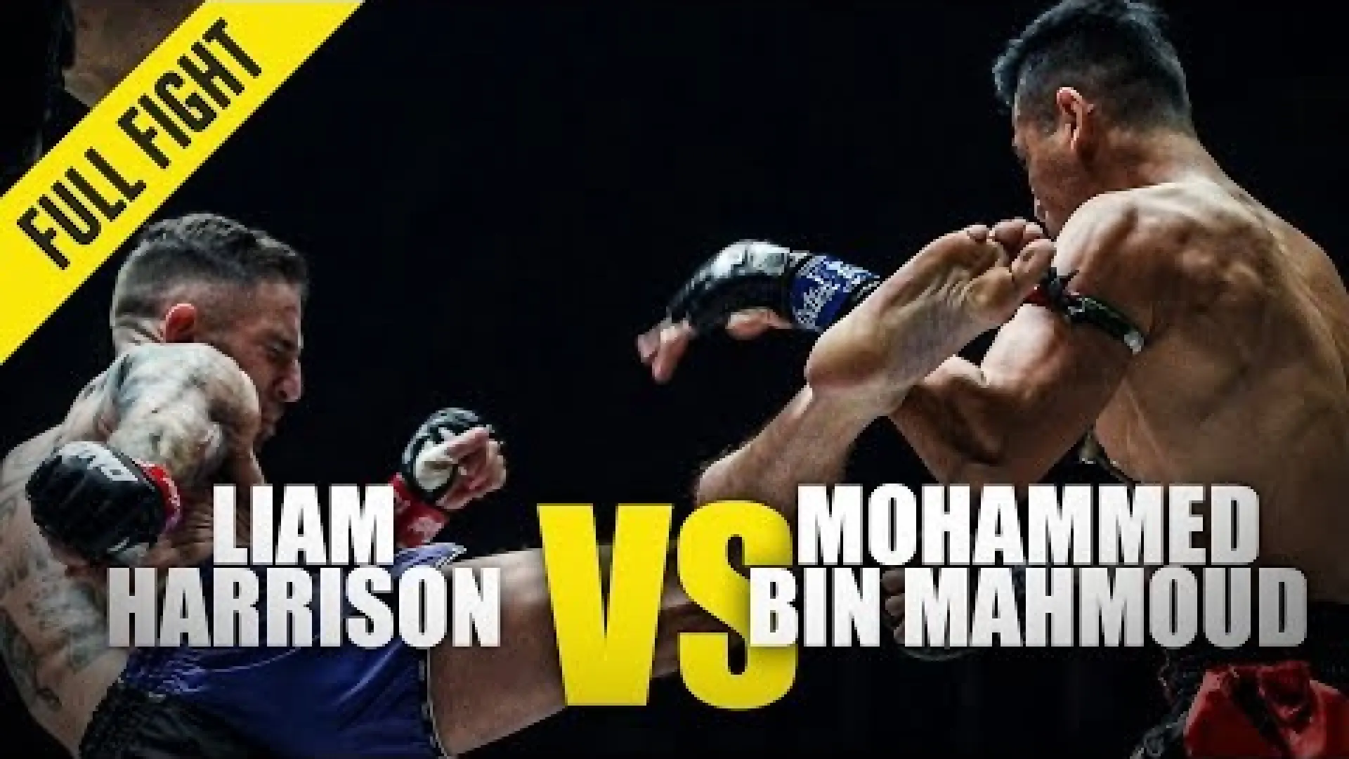 Liam Harrison vs Mohammed Bin Mahmoud (Fight Video)