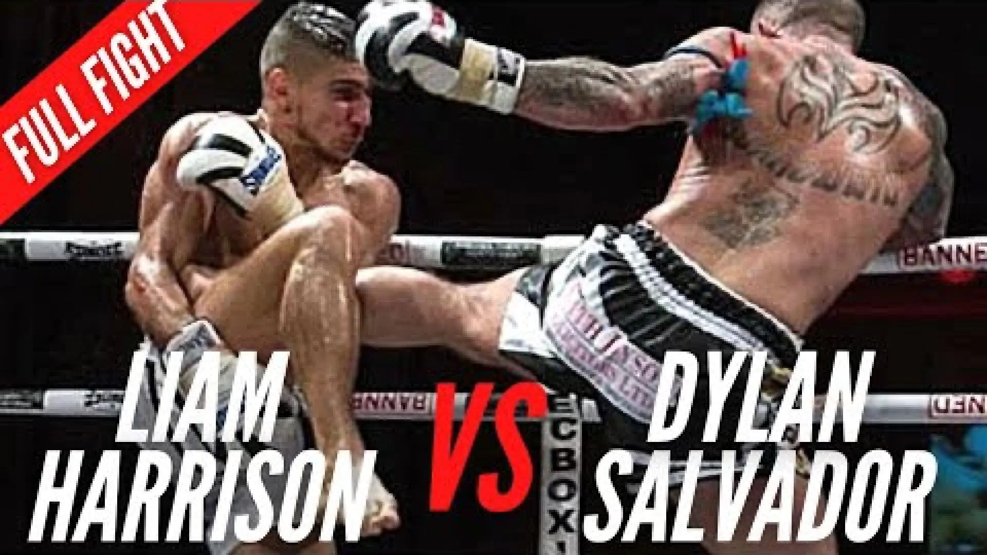 Liam Harrison vs Dylan Salvador (Fight Video)