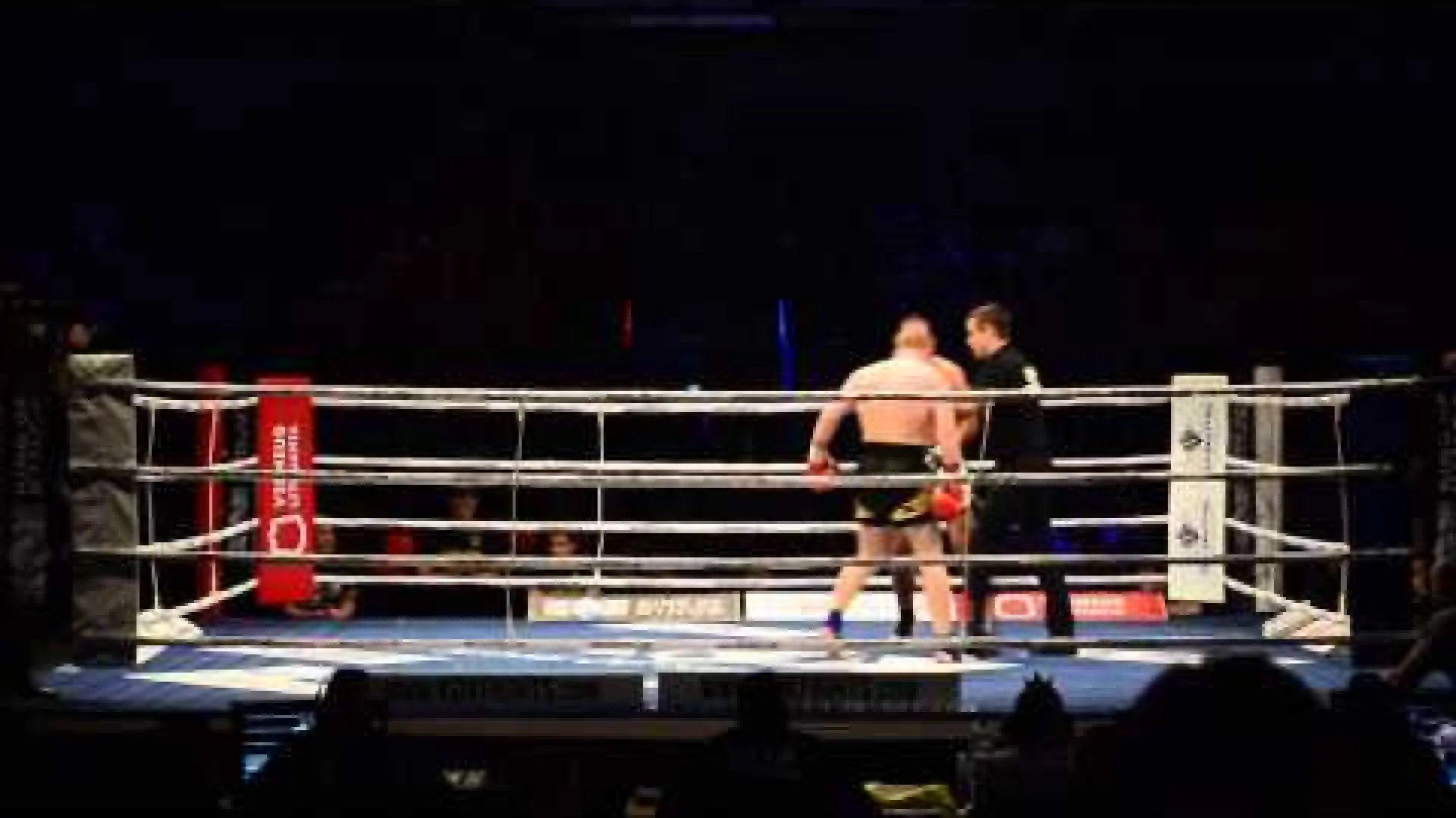 Luke Whelan vs Ernestas Dapkai (Fight Video)